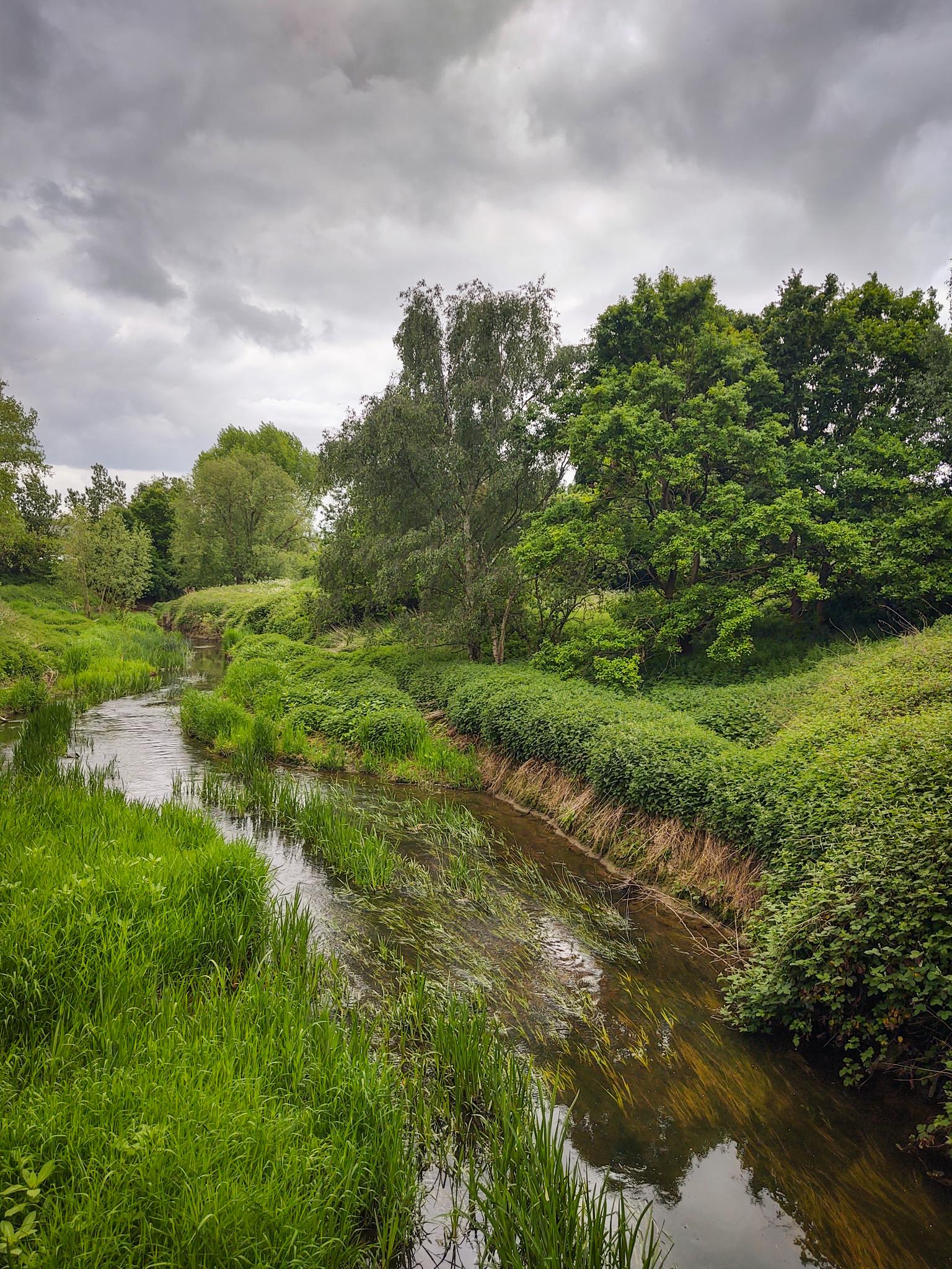 The River Roding | Komoot