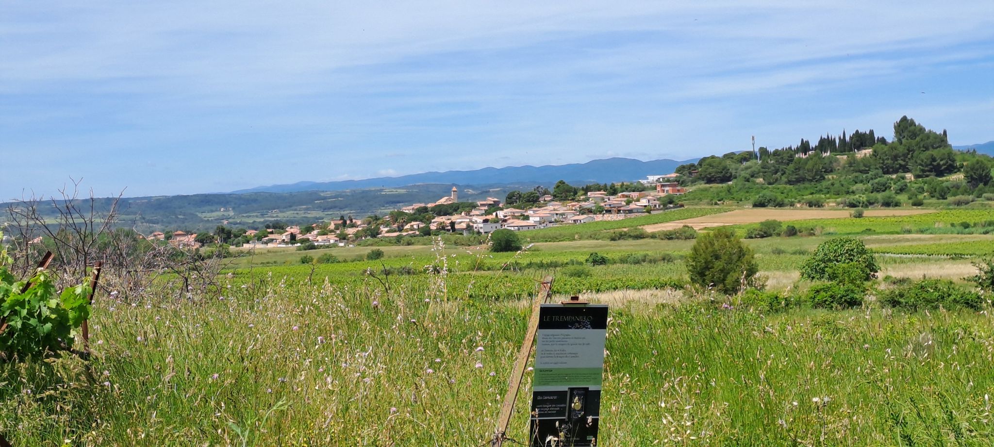 Tezan les Beziers