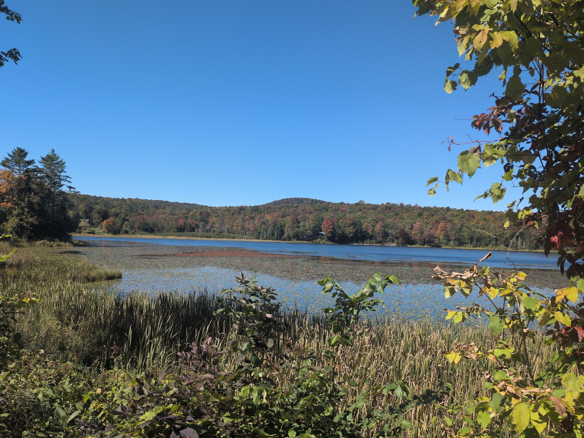 Bliss Pond