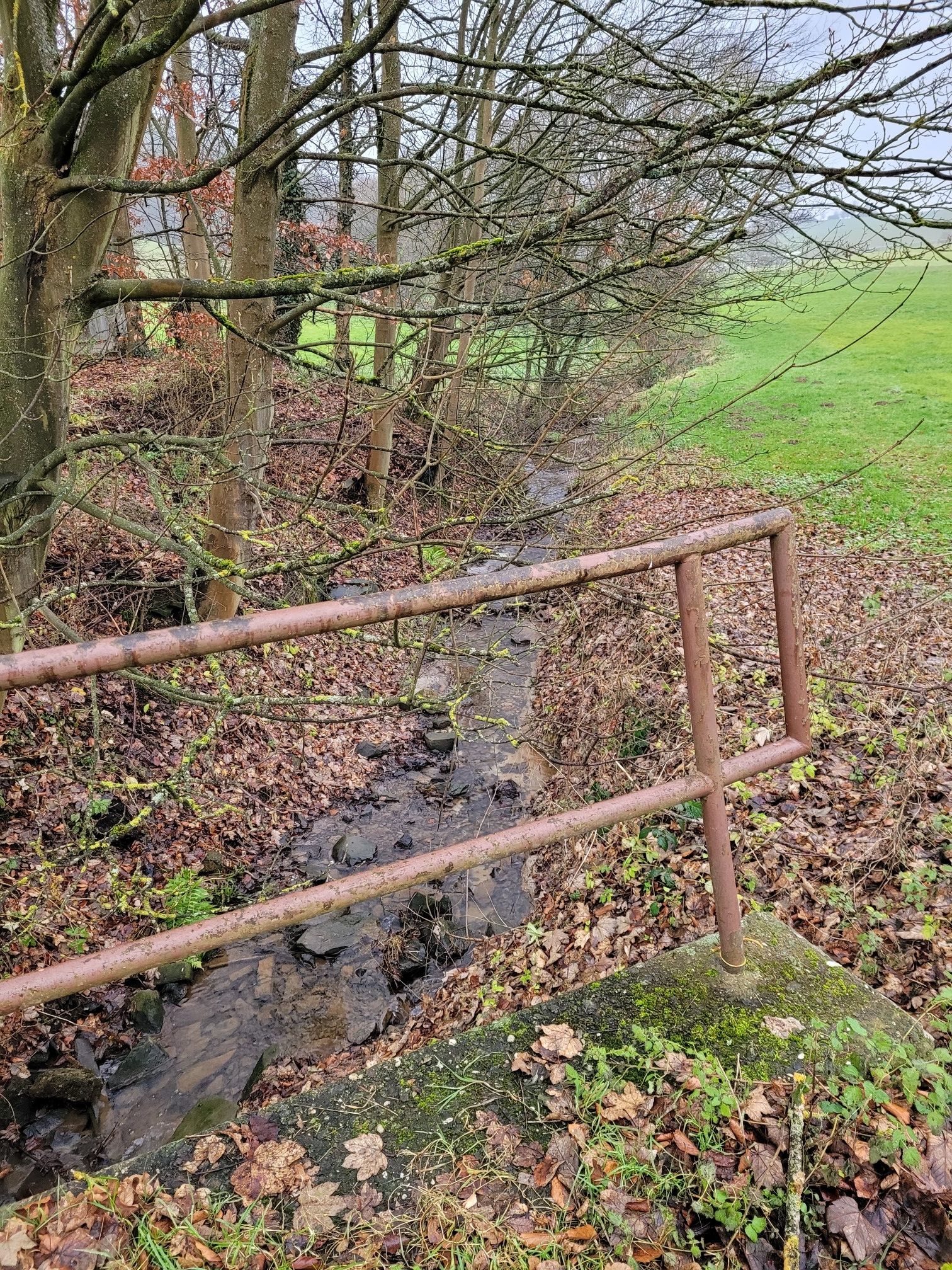 Blick auf den Birnbach