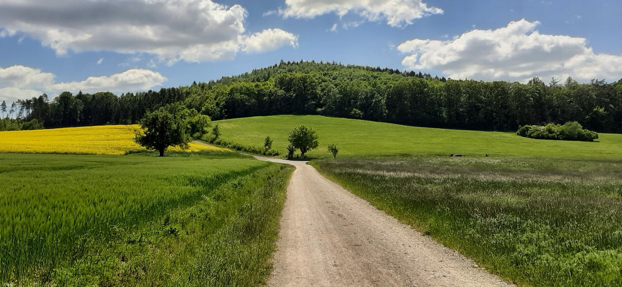 blick zurück