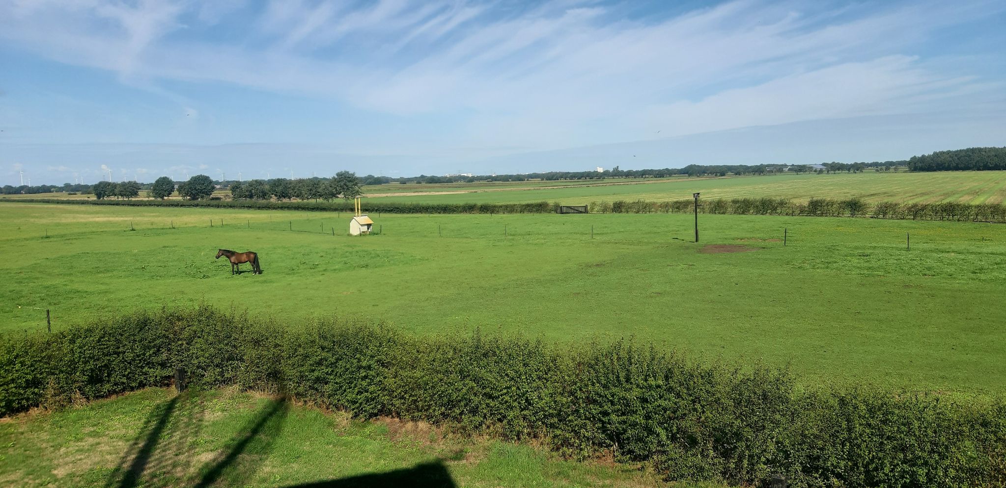 Blick von oben