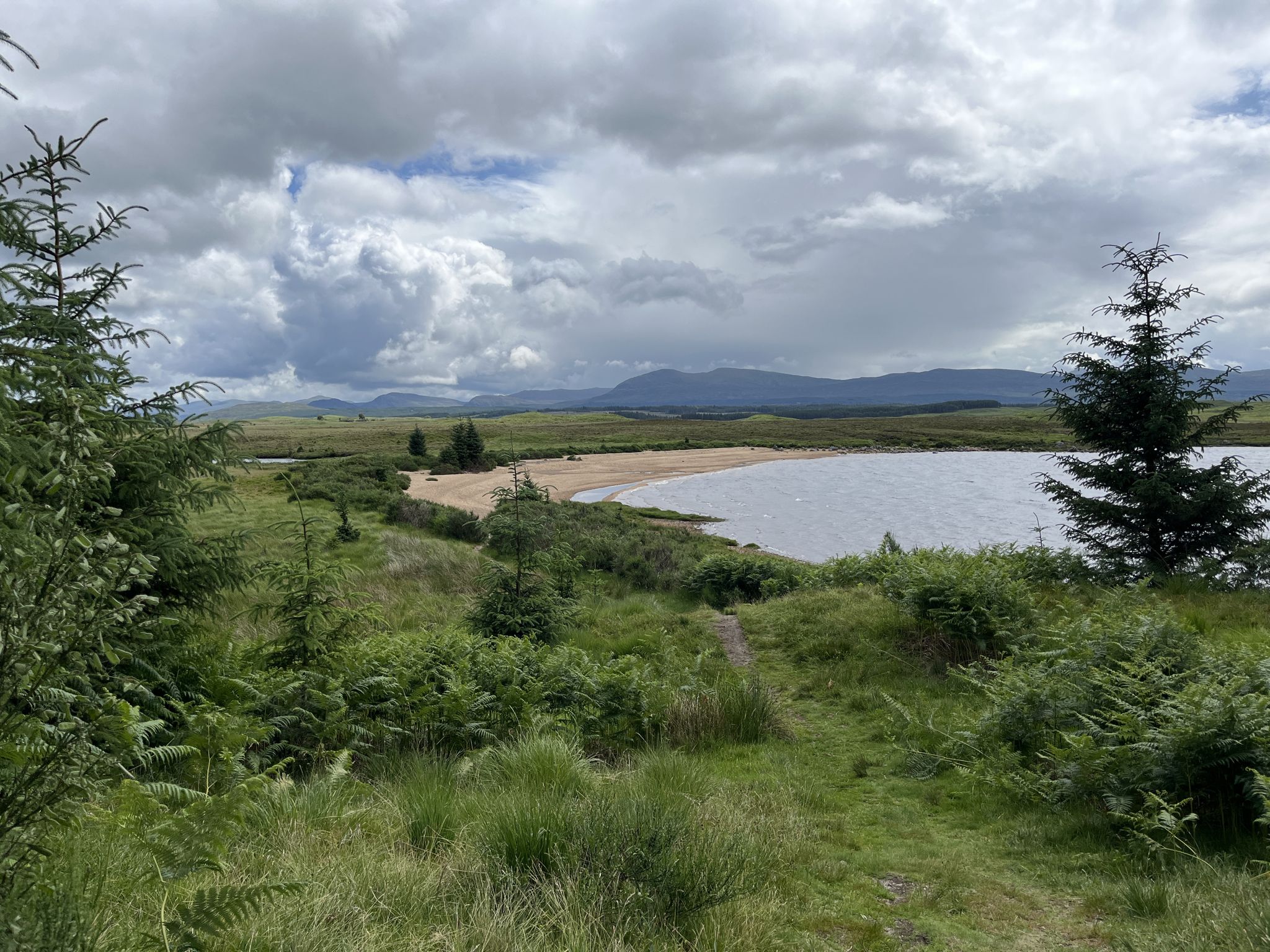 Loch Laidon, north east shore