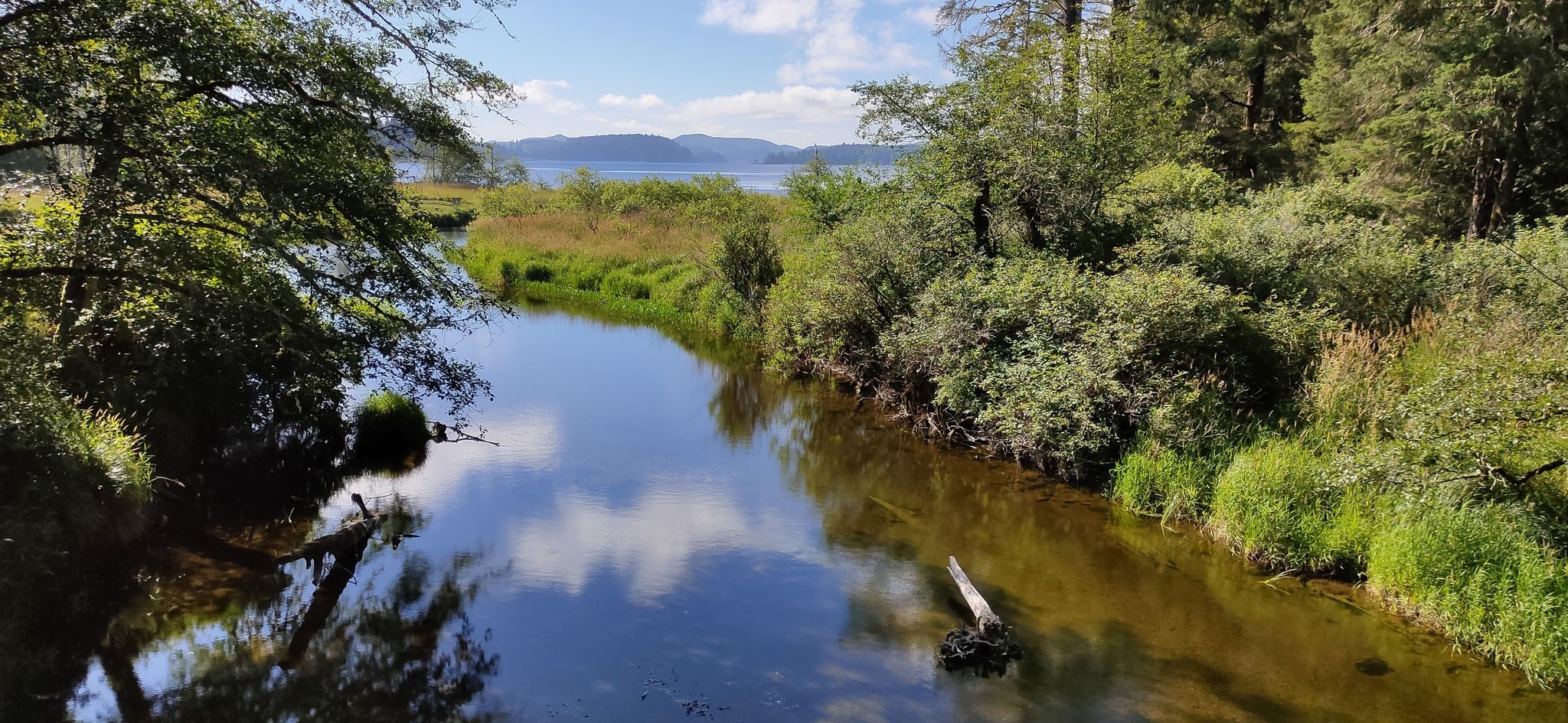 Calm river reflecting sky, flowing through green forest towards distant water. - Ozette Triangle Loop
