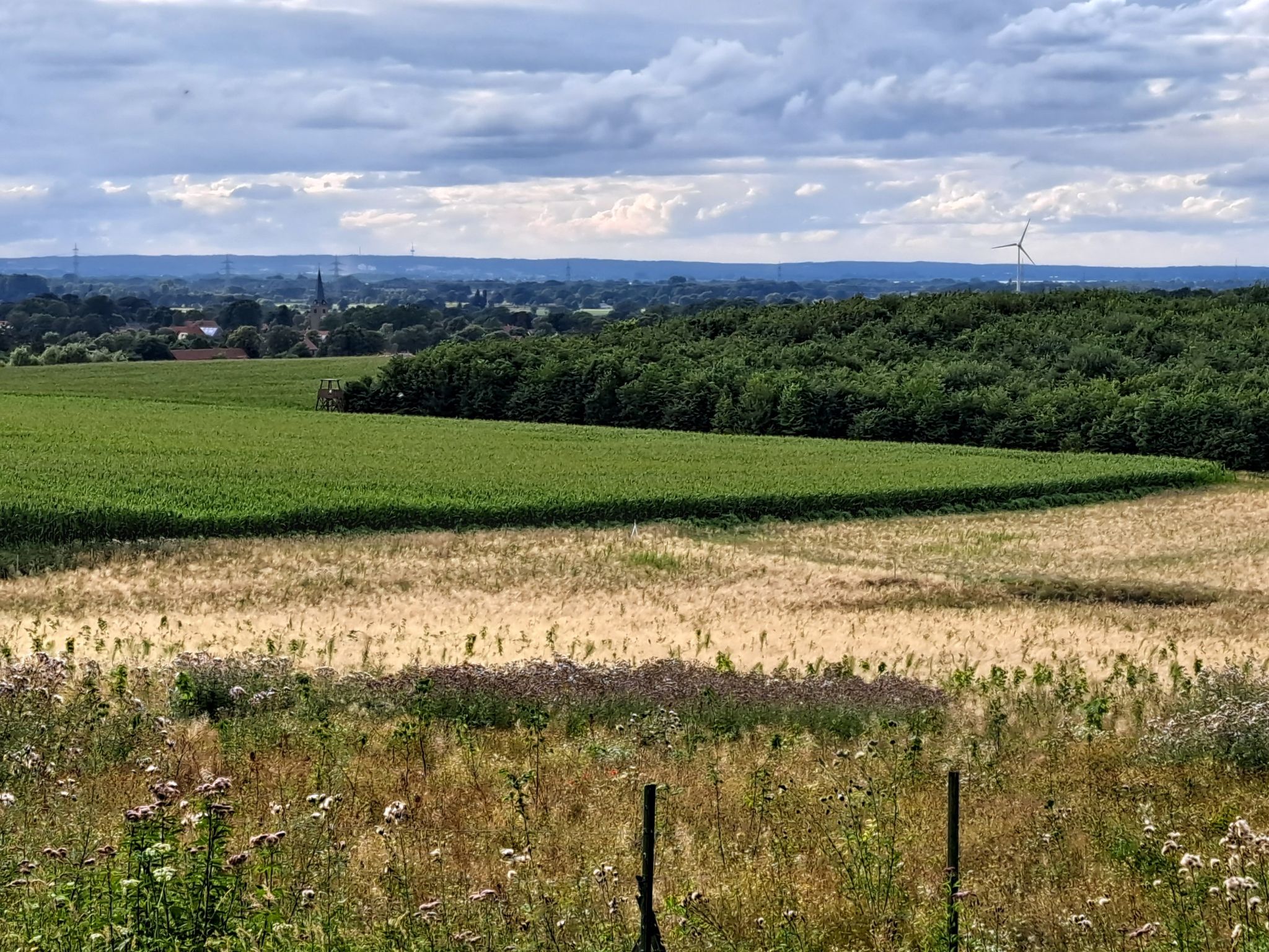 Über Brockum ins Dümmerland