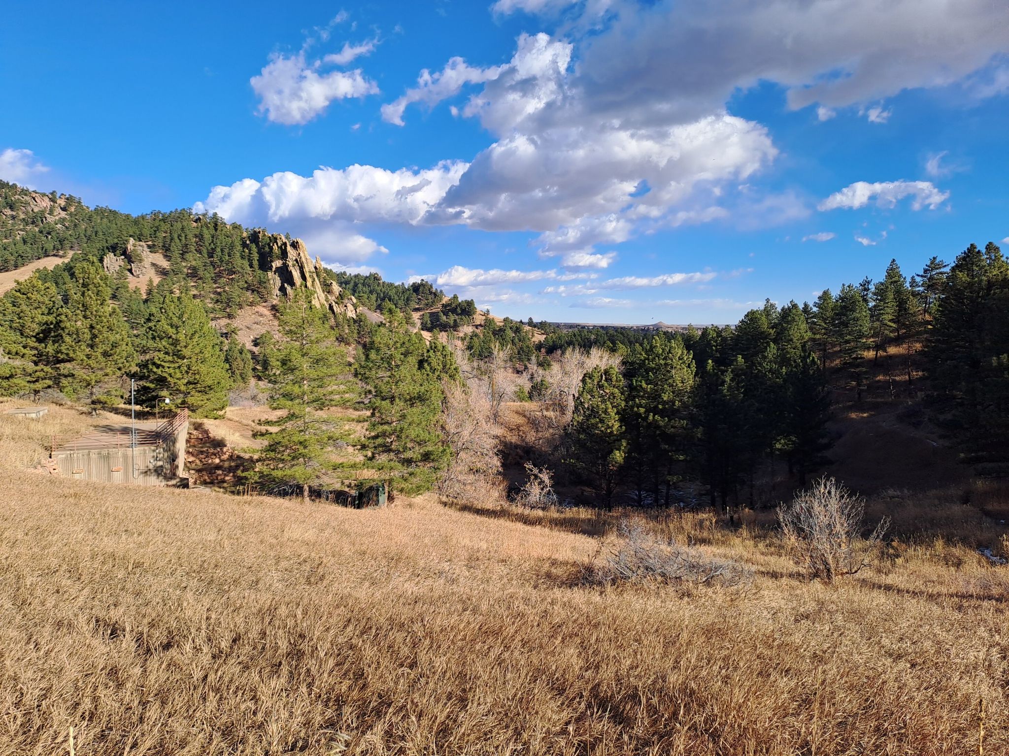 Sunny valley with golden grass, pine trees, and rocky hills. - Mount Sanitas and Lion's Lair Loop