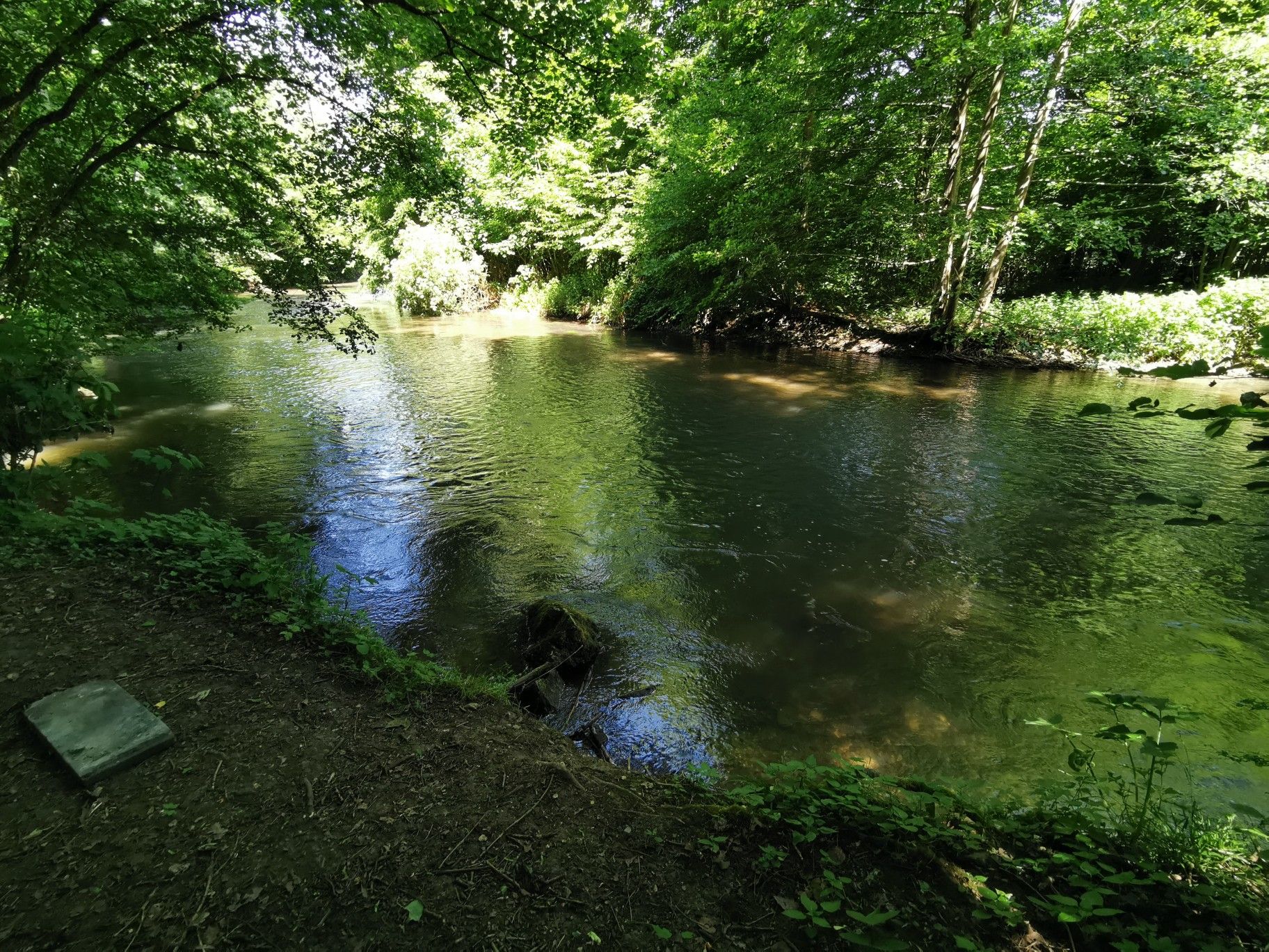 Point sympa de beignade dans l'iton