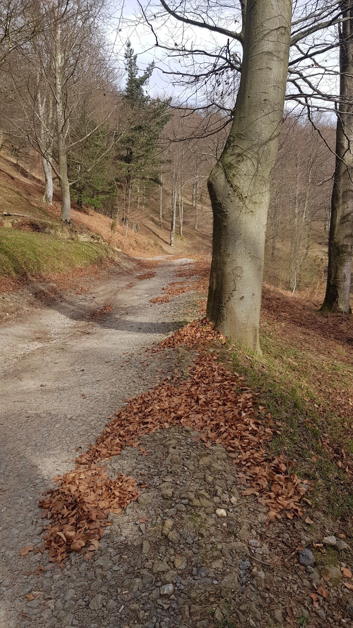 Sendero