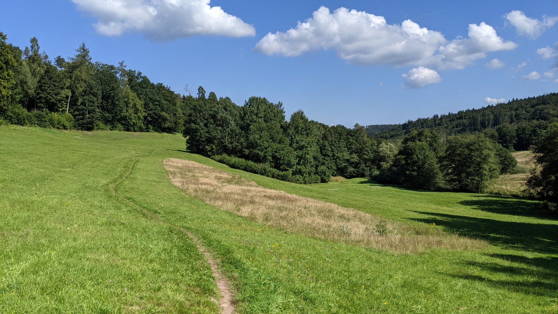 Natur pur 🌲 🌳 🌲