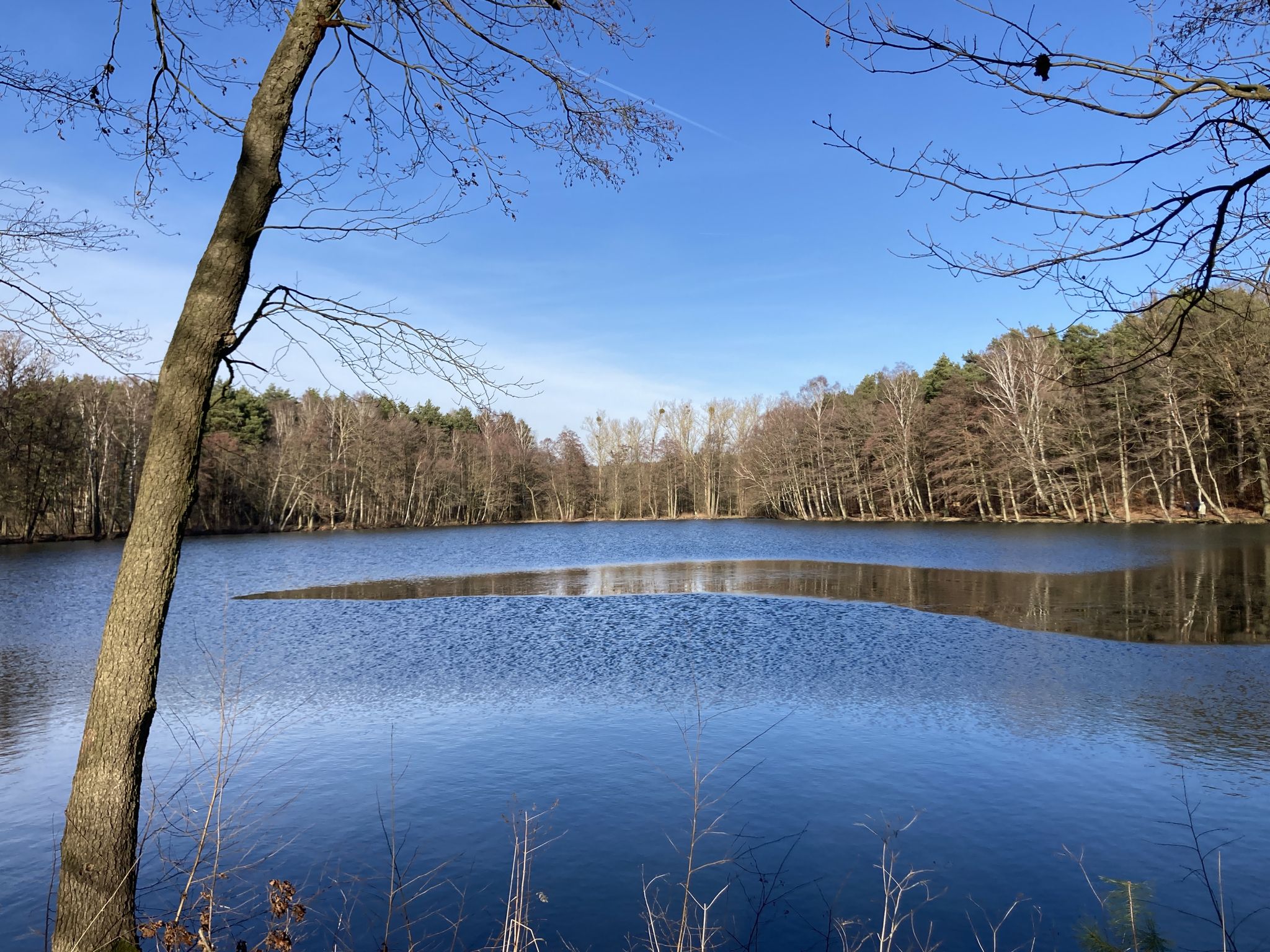 Alter Teich 