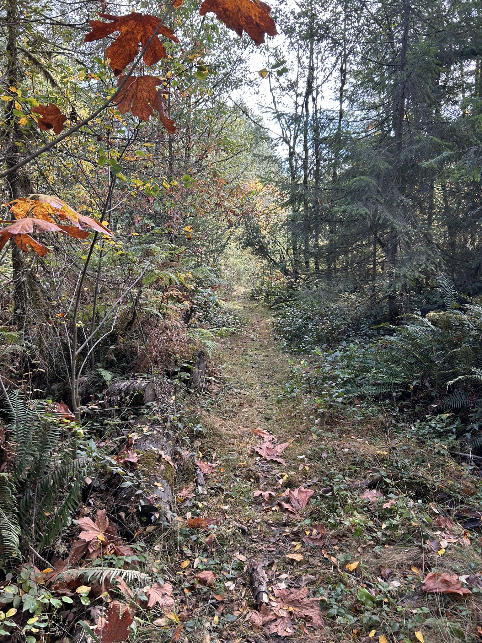 An easy part of the short cut trail from the campground - mostly hike-a-bike.