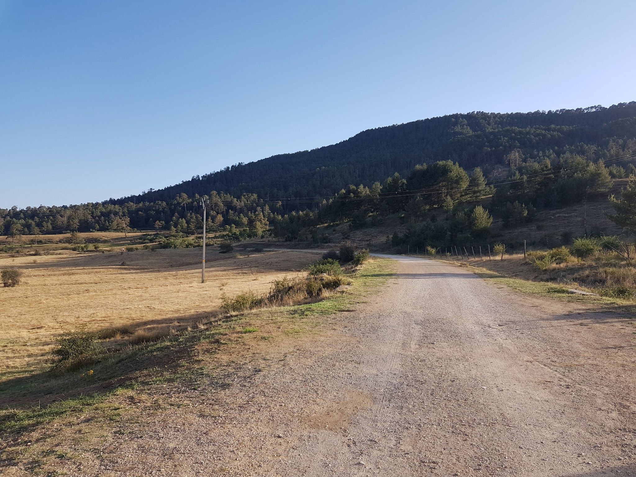 La Dehesa, Griegos