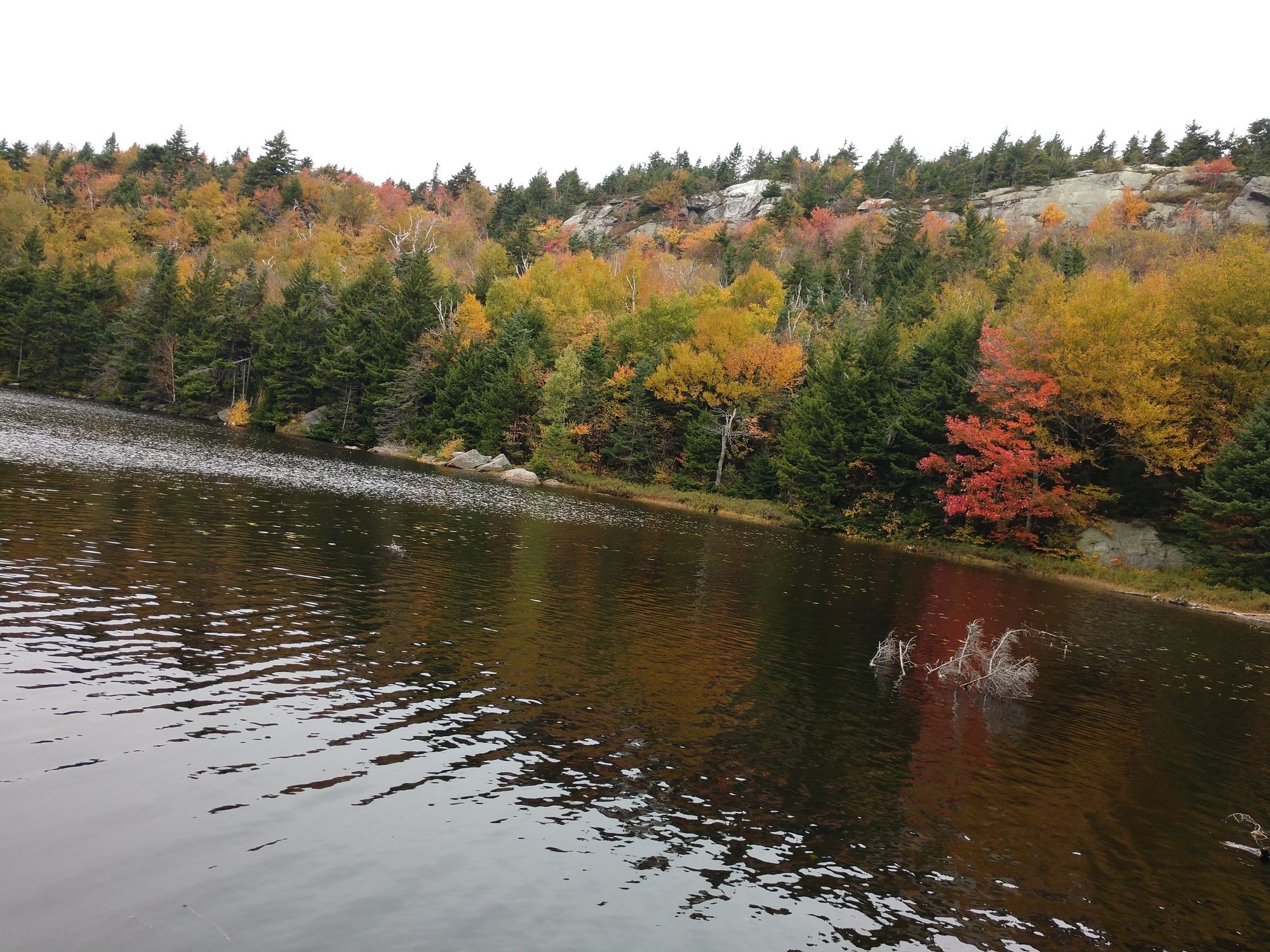 Rippling dark lake bordered by vibrant autumn trees under an overcast sky. - Andrew Brook Trail
