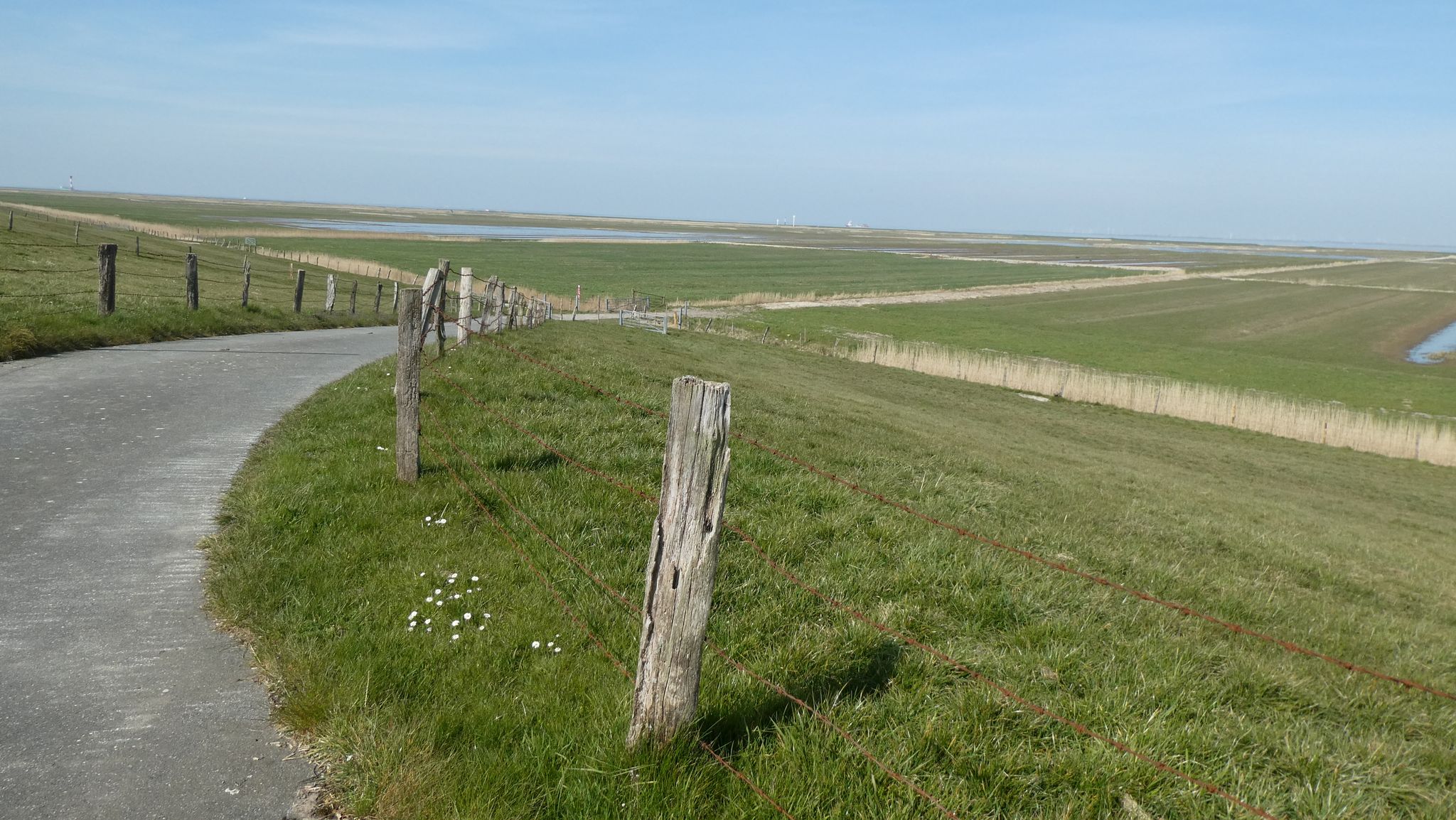 weiter Blick vom Deich ins Vorland