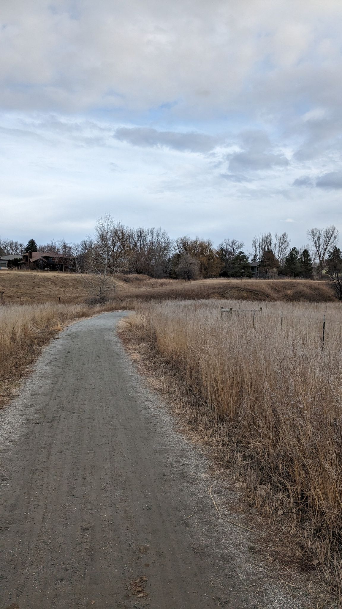 Dirt path through dry grass, bare trees, and cloudy sky. - Niwot Park – LoBo Trail loop from Niwot