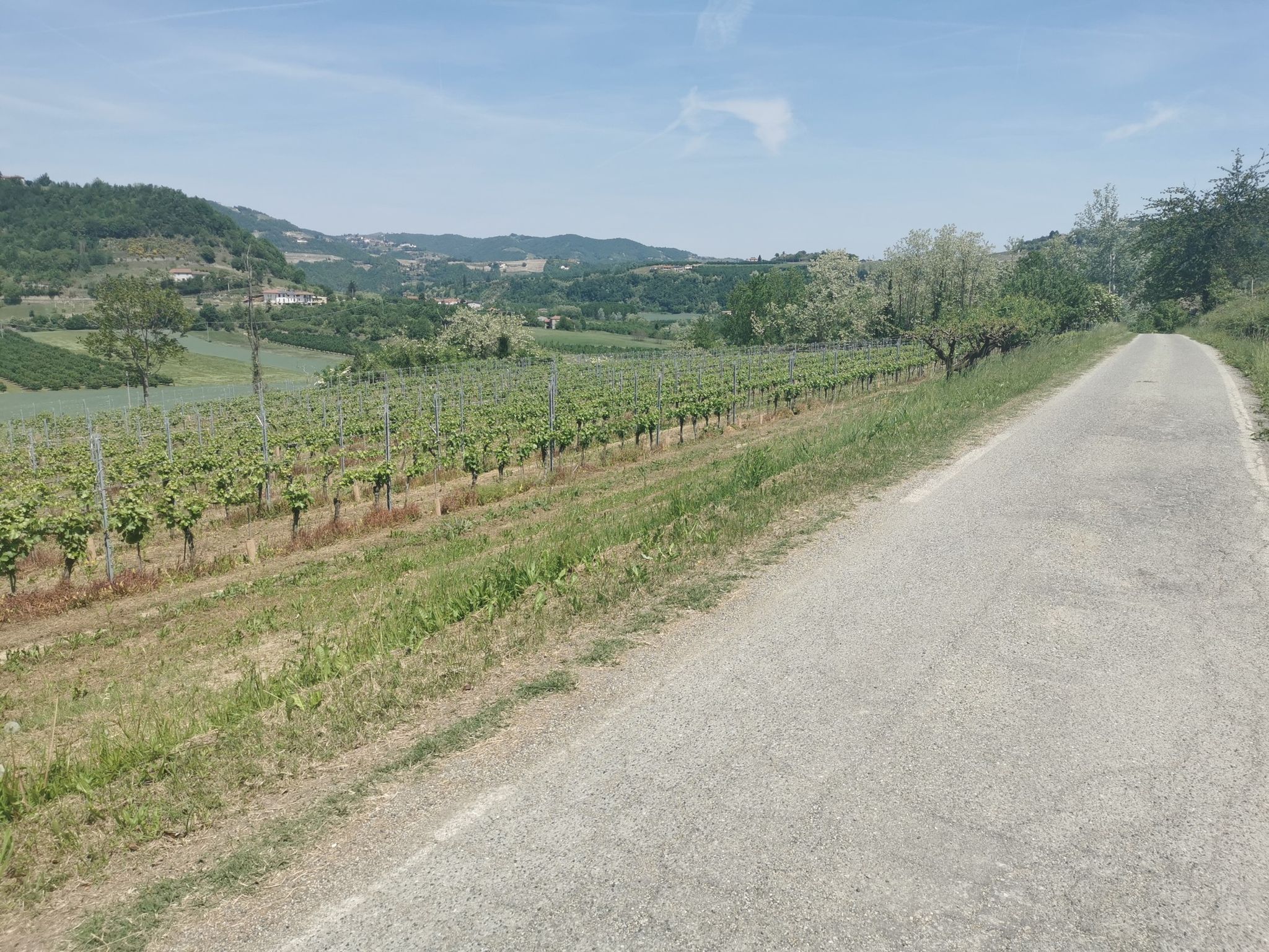The Road to Puerto Eacondido