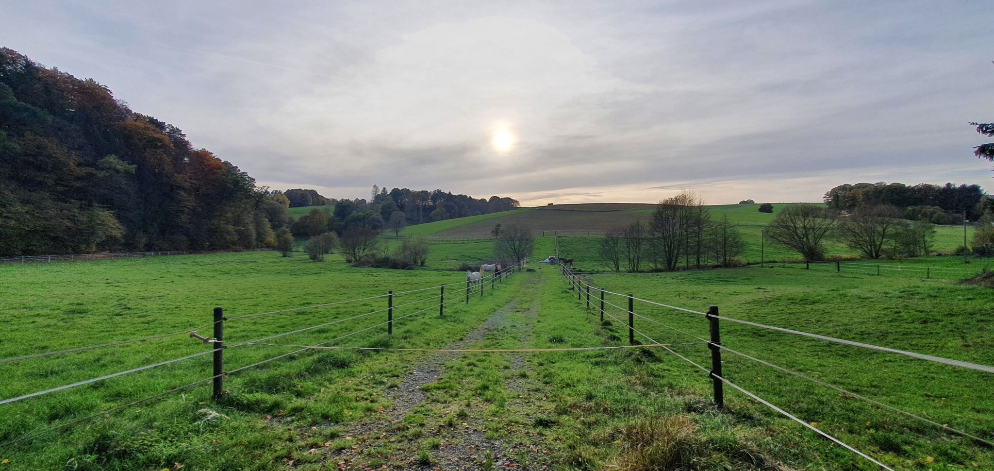 Blick zurück