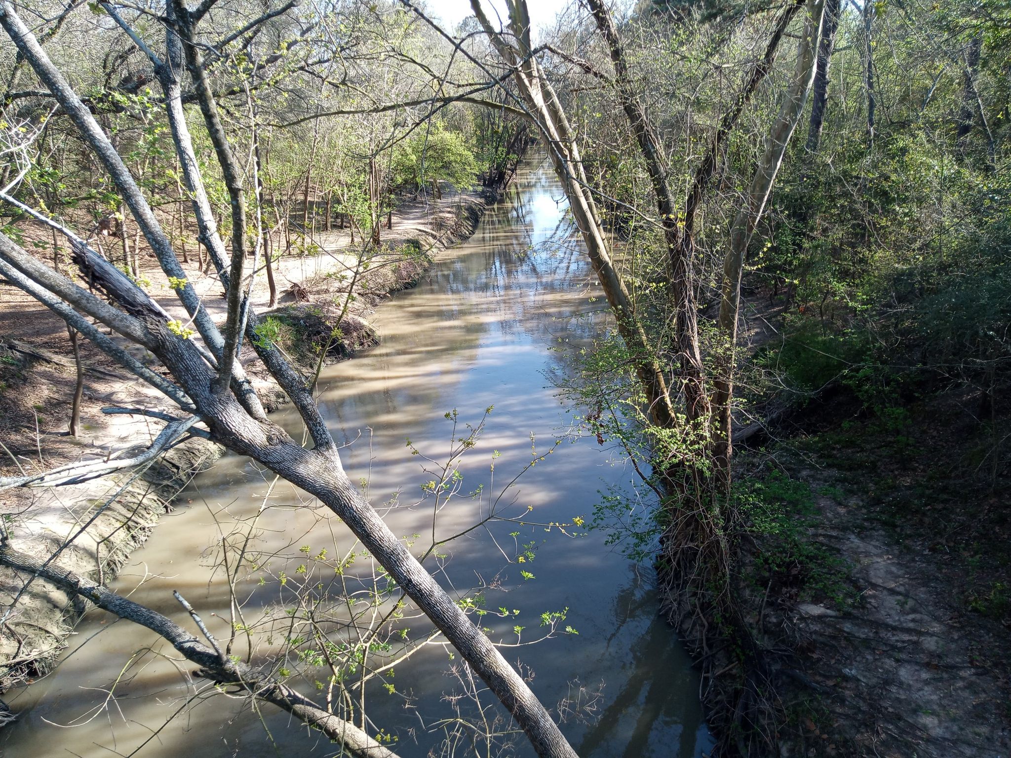 Bridge Over Bayou