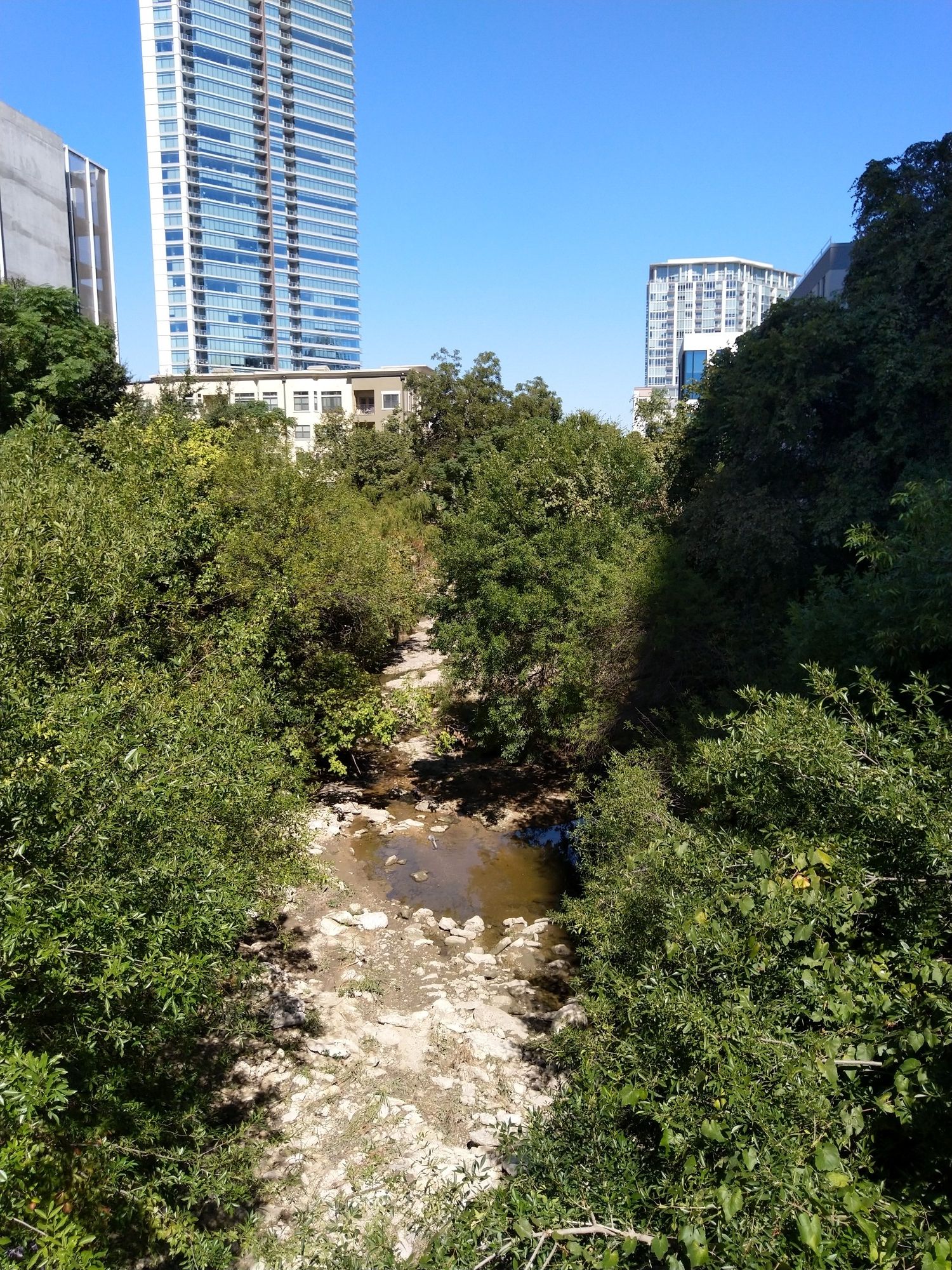 Sunny view of a rocky stream bed surrounded by dense green trees. - Texas State Capitol – Austin Troll Sculpture loop from Kramer