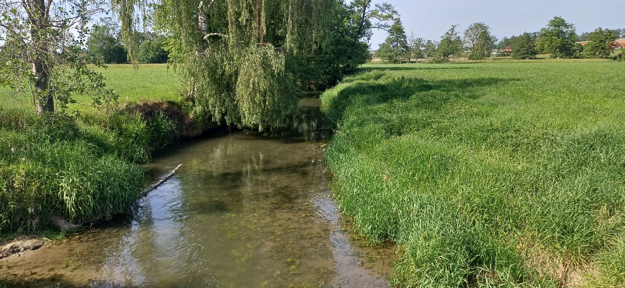 herrlicher Bachlauf bei Grafing