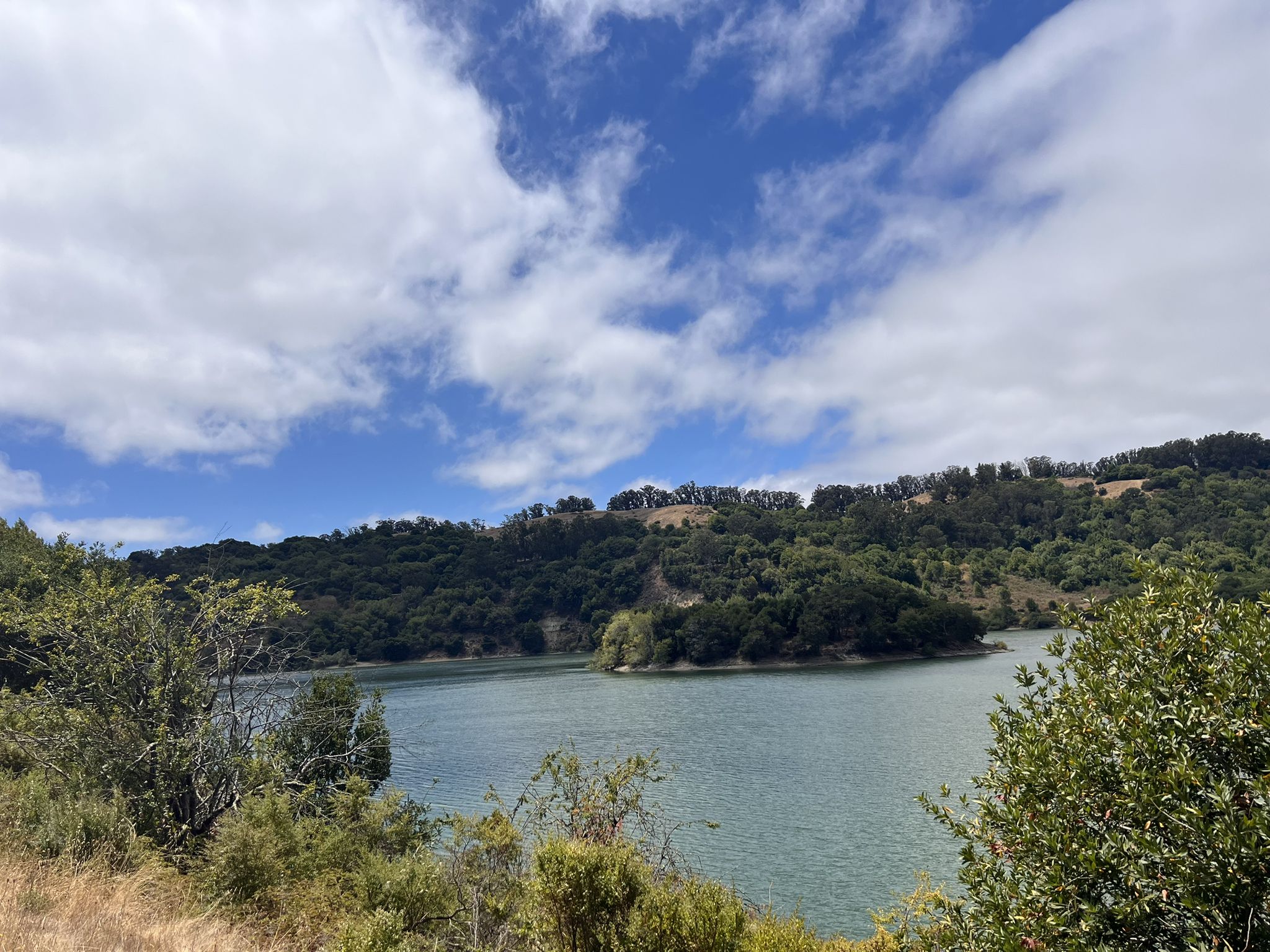 Bright day over a lake, surrounded by green hills and trees. - Indian Cove, Cameron Loop and East Shore Loop Trail