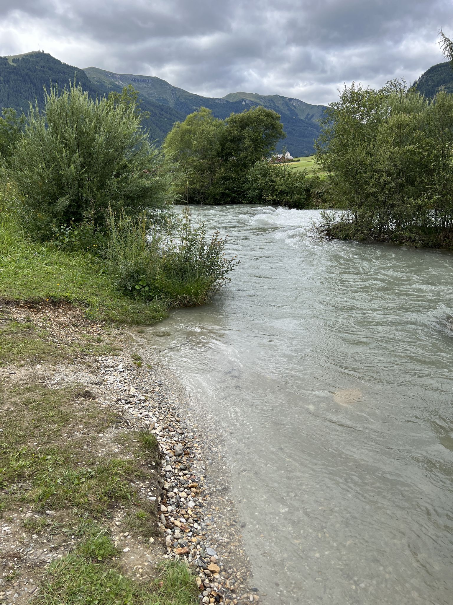 Die wilde Taurach