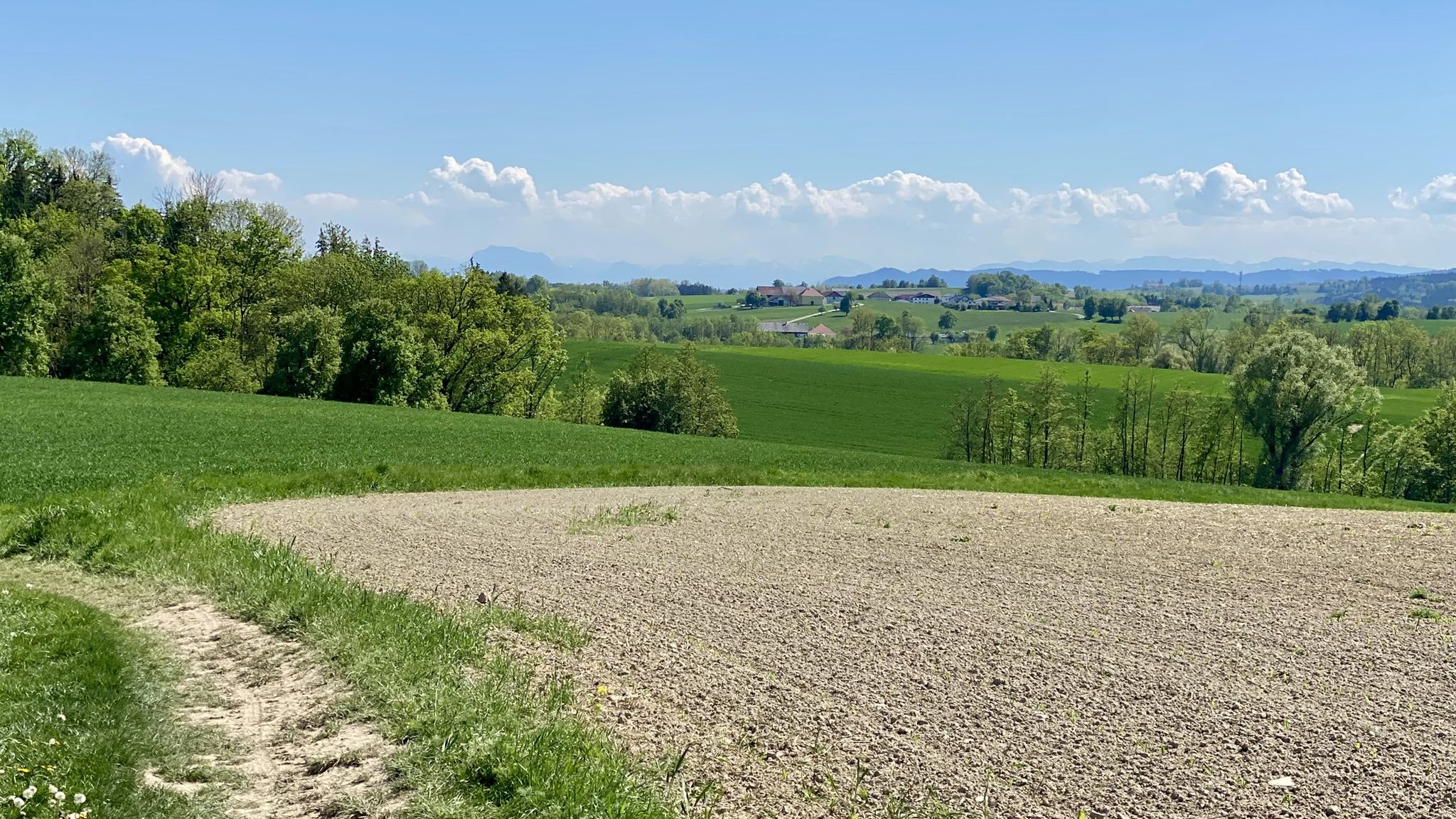 Alpenkette hinter den Hügeln