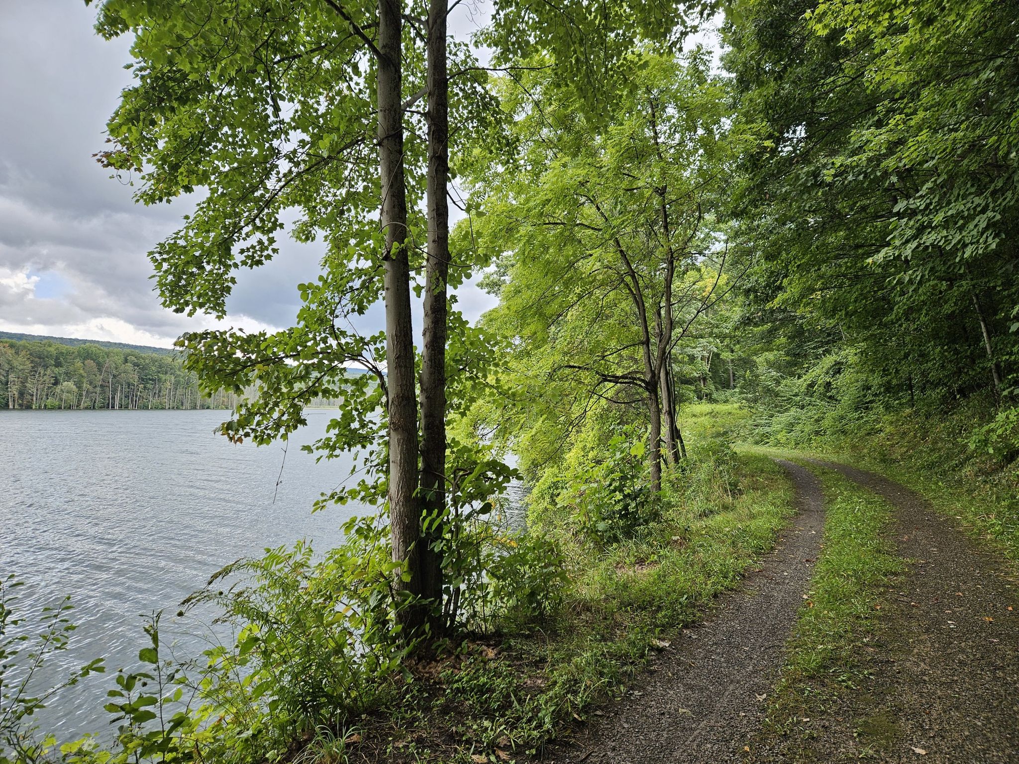 Dirt path winding beside a lake with lush green trees under cloudy sky. - Hemlock Lake East Shore Trail