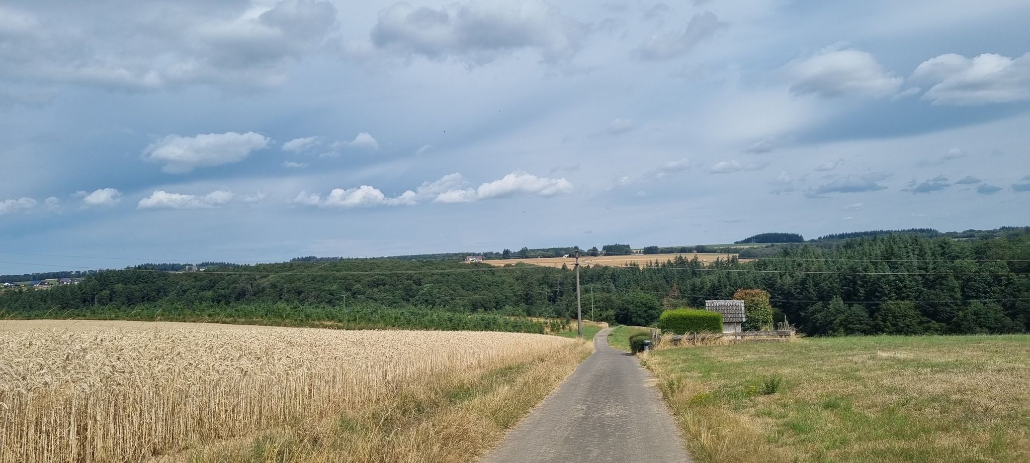 Blick zurück auf Marienkapelle, Pantenburg und Buchholz