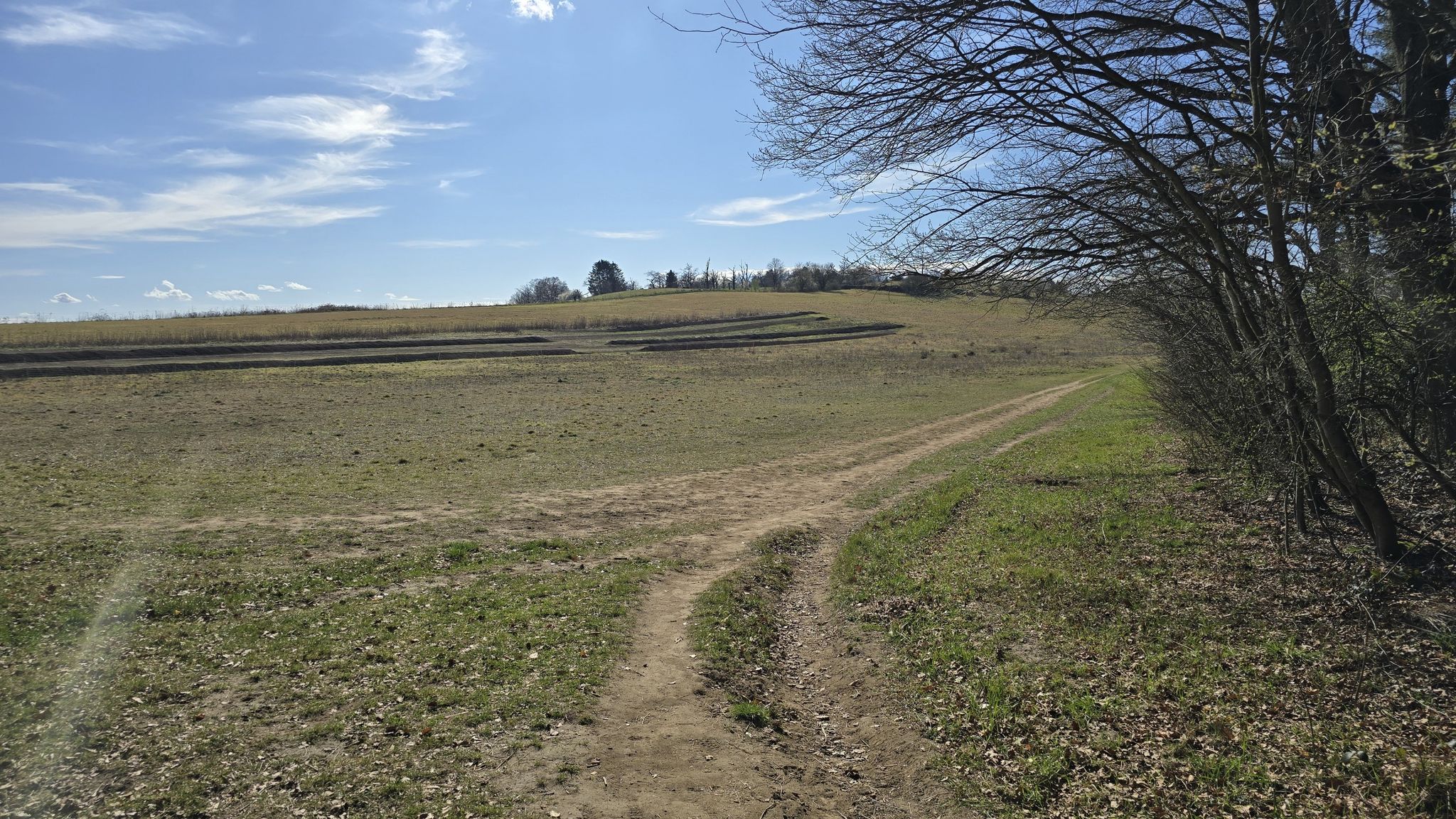 Prinzenberg