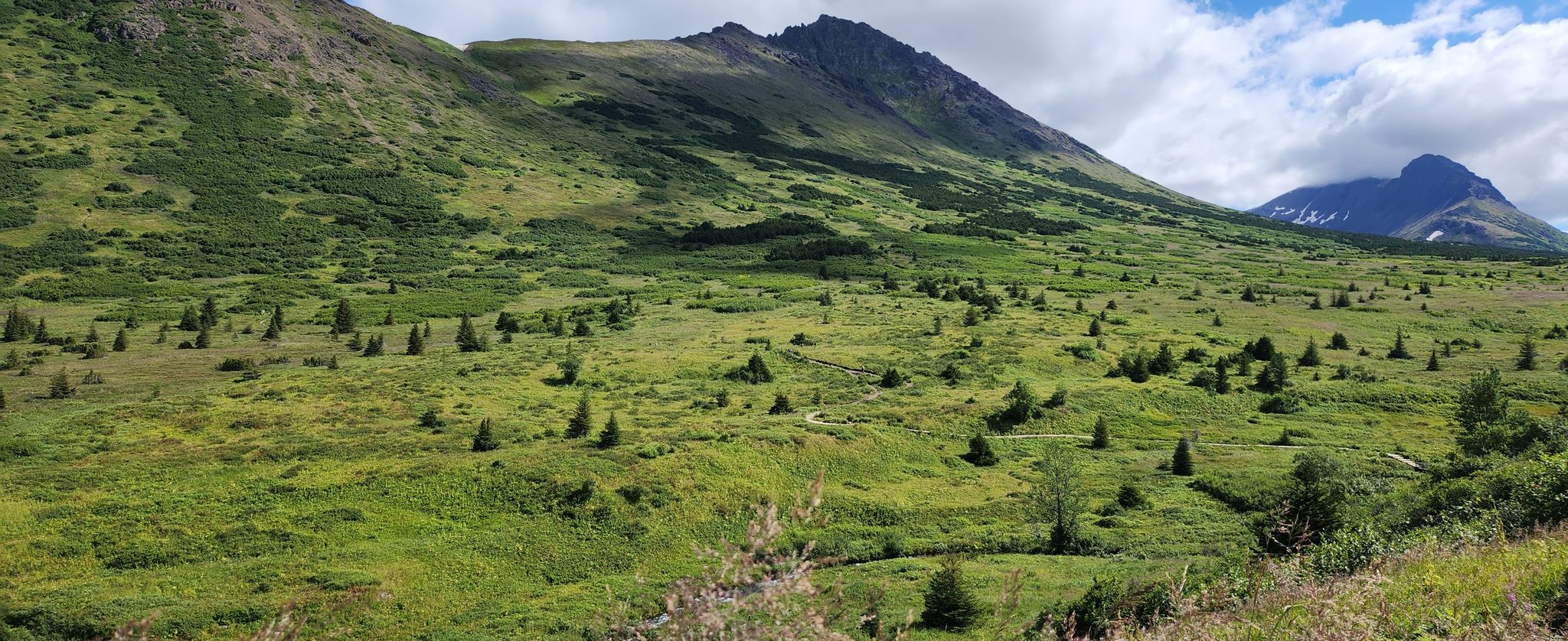 Vast green valley with scattered small trees and large mountains under a cloudy sky. - Middle Fork Loop