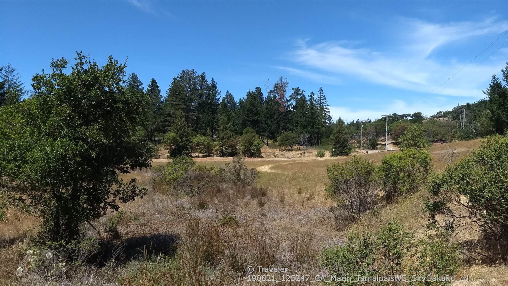 Sunny open field with scattered trees and distant forest under blue sky. - Lagunitas, Bon Tempe, and Alpine Lakes via Lakeview and Cataract Loop