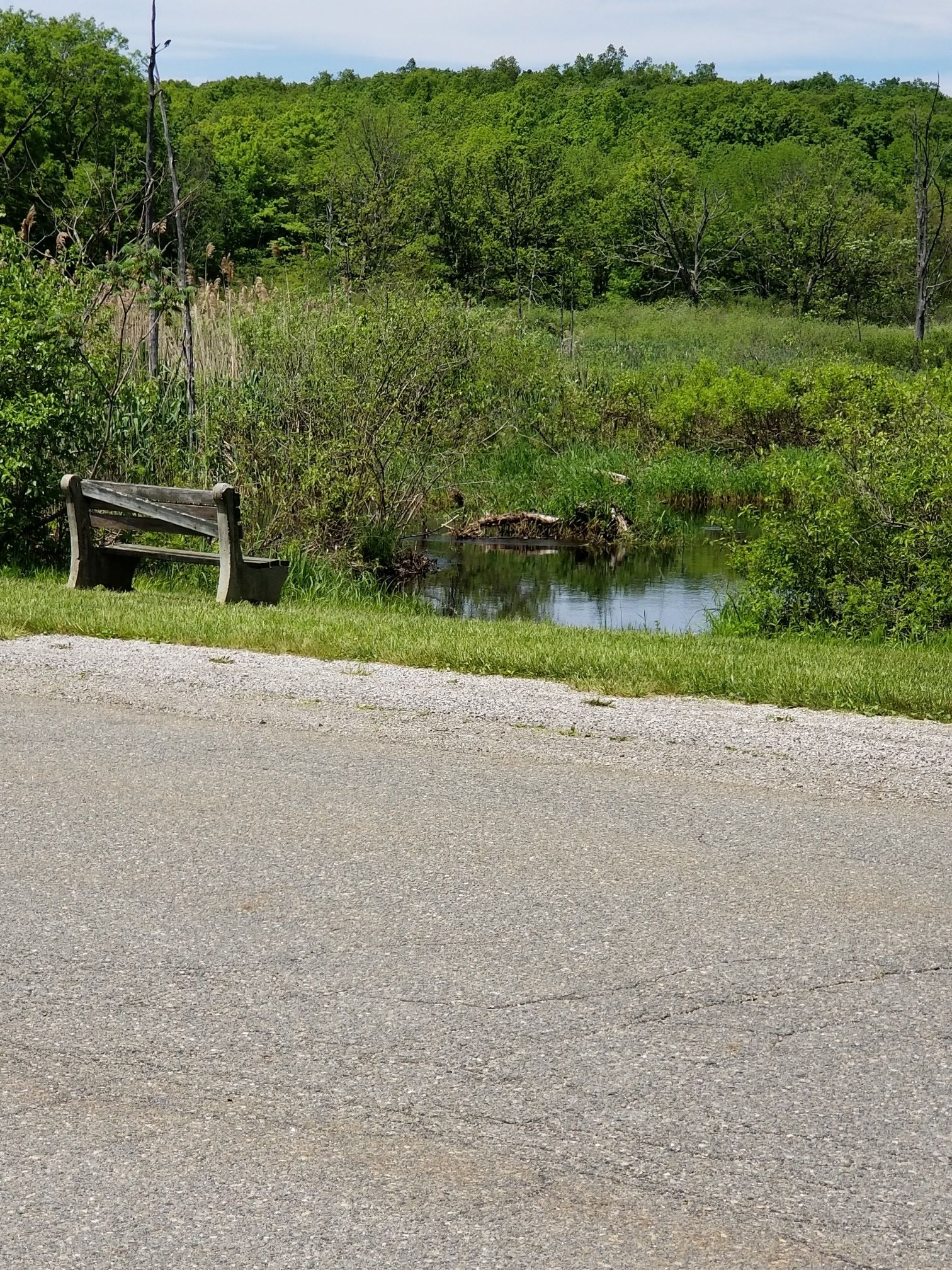 bench