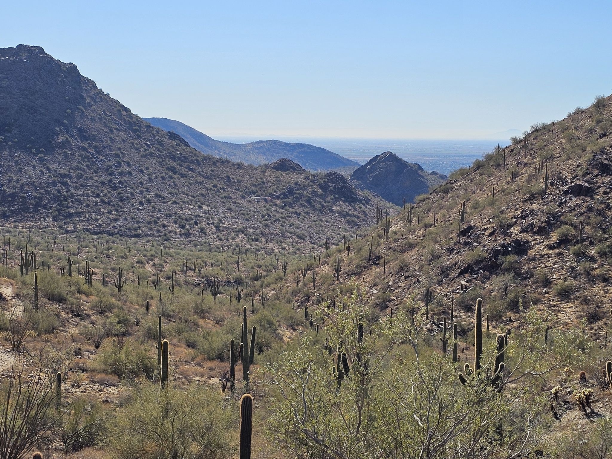 Arid desert valley with saguaro cacti and distant mountains under clear skies. - Gateway Loop Trail
