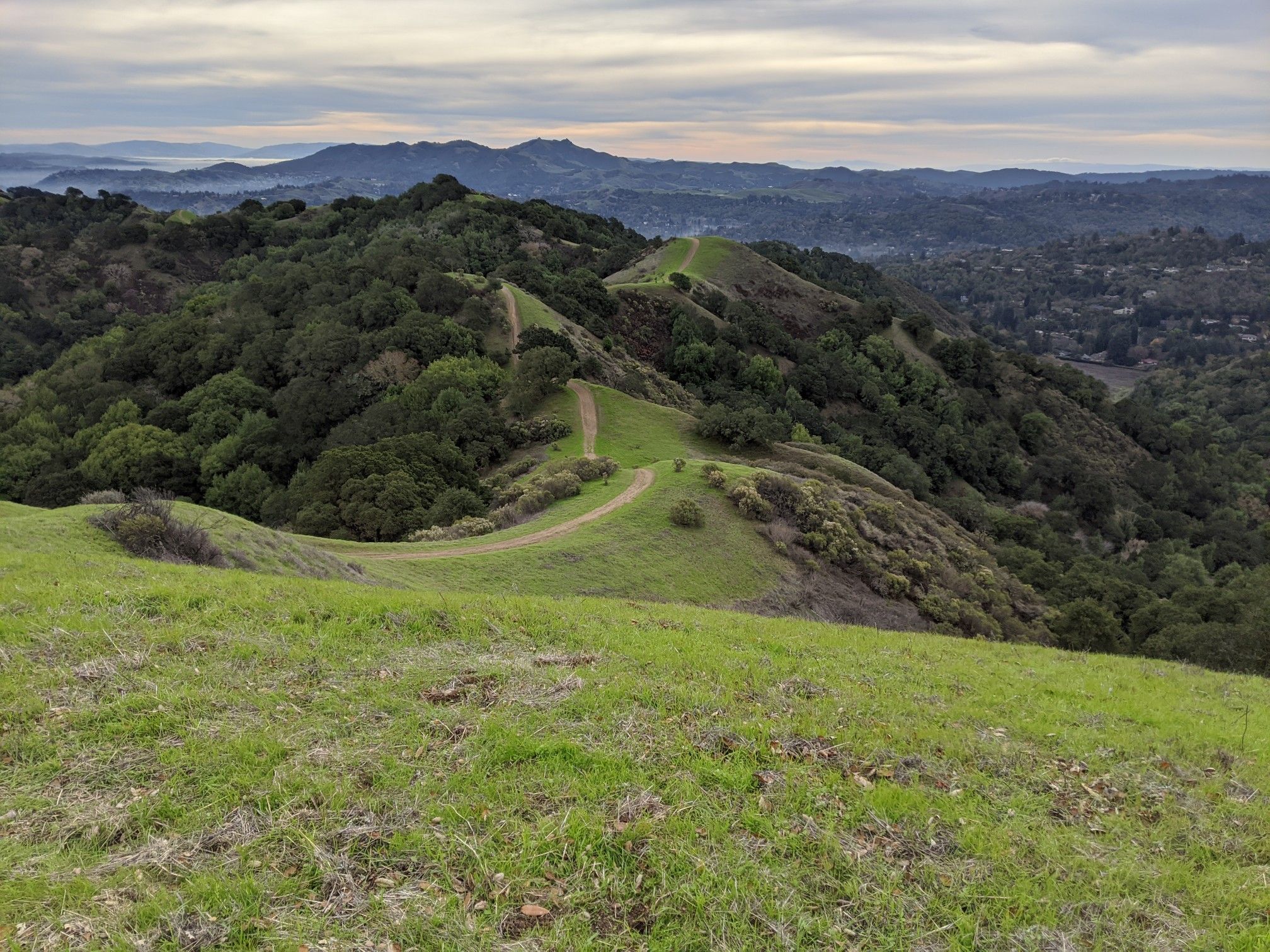 Winding dirt trail on a green grassy ridge with distant mountains under clouds. - Lafayette Ridge and Russell Peak Loop