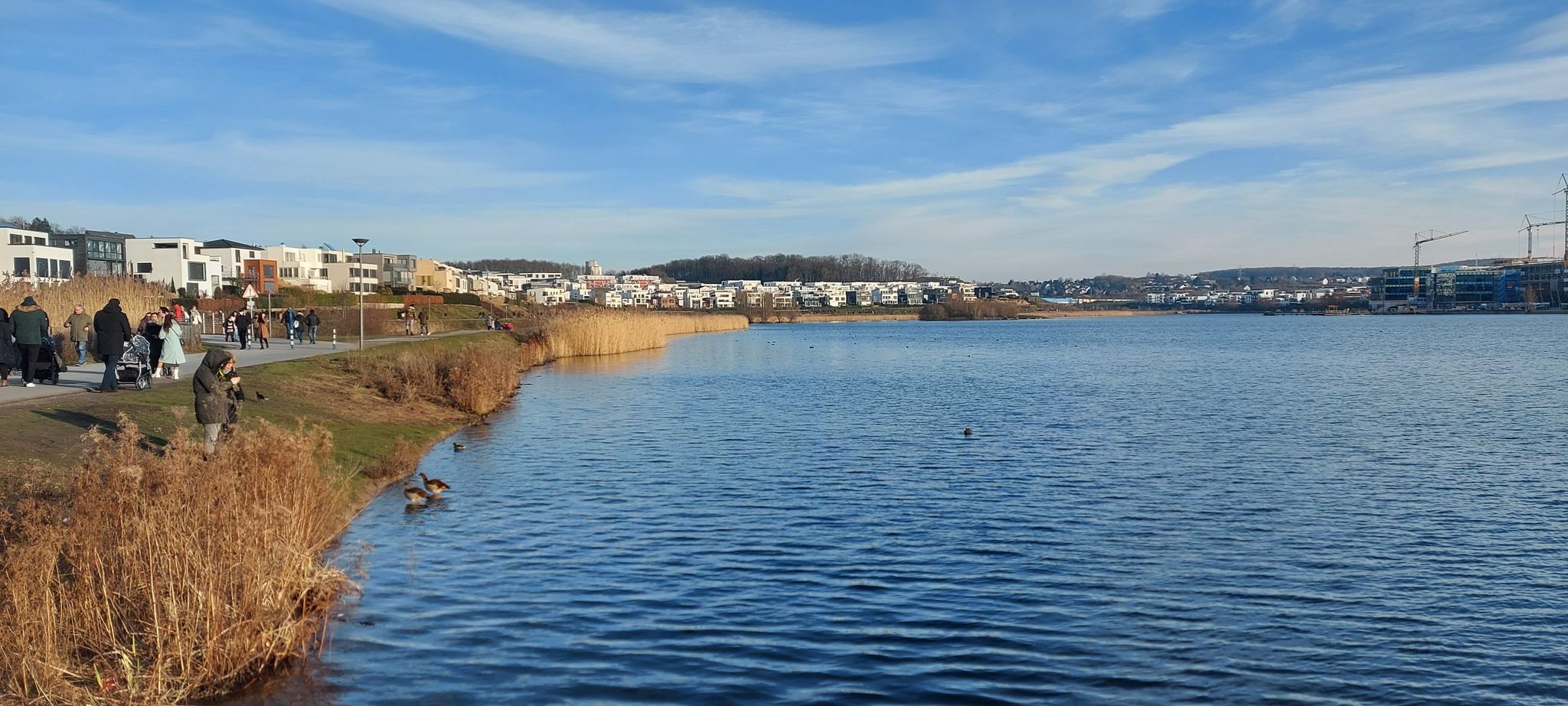phönixsee 