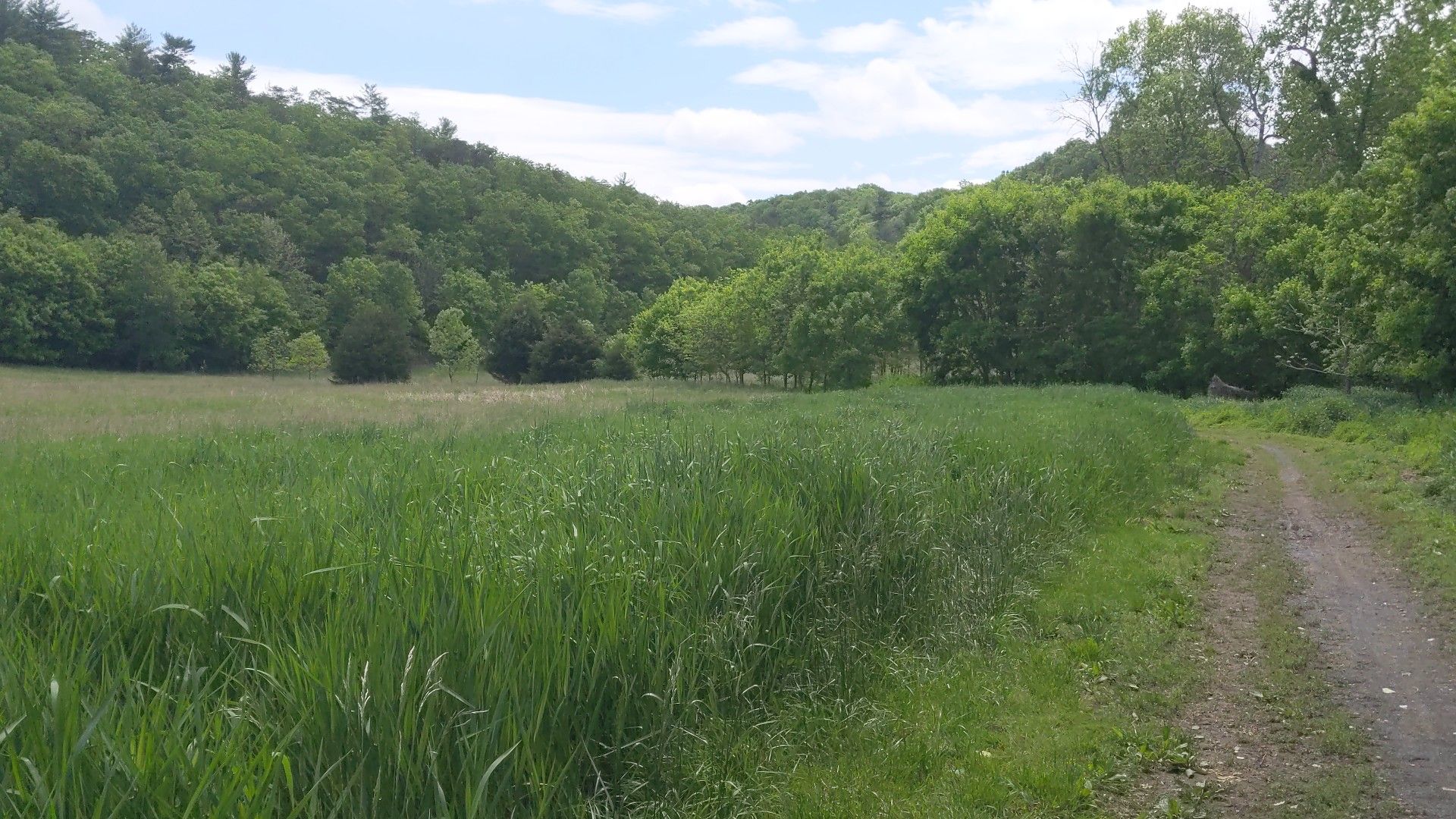 A wide grassy field next to a dirt path, surrounded by green hills. - River Trail