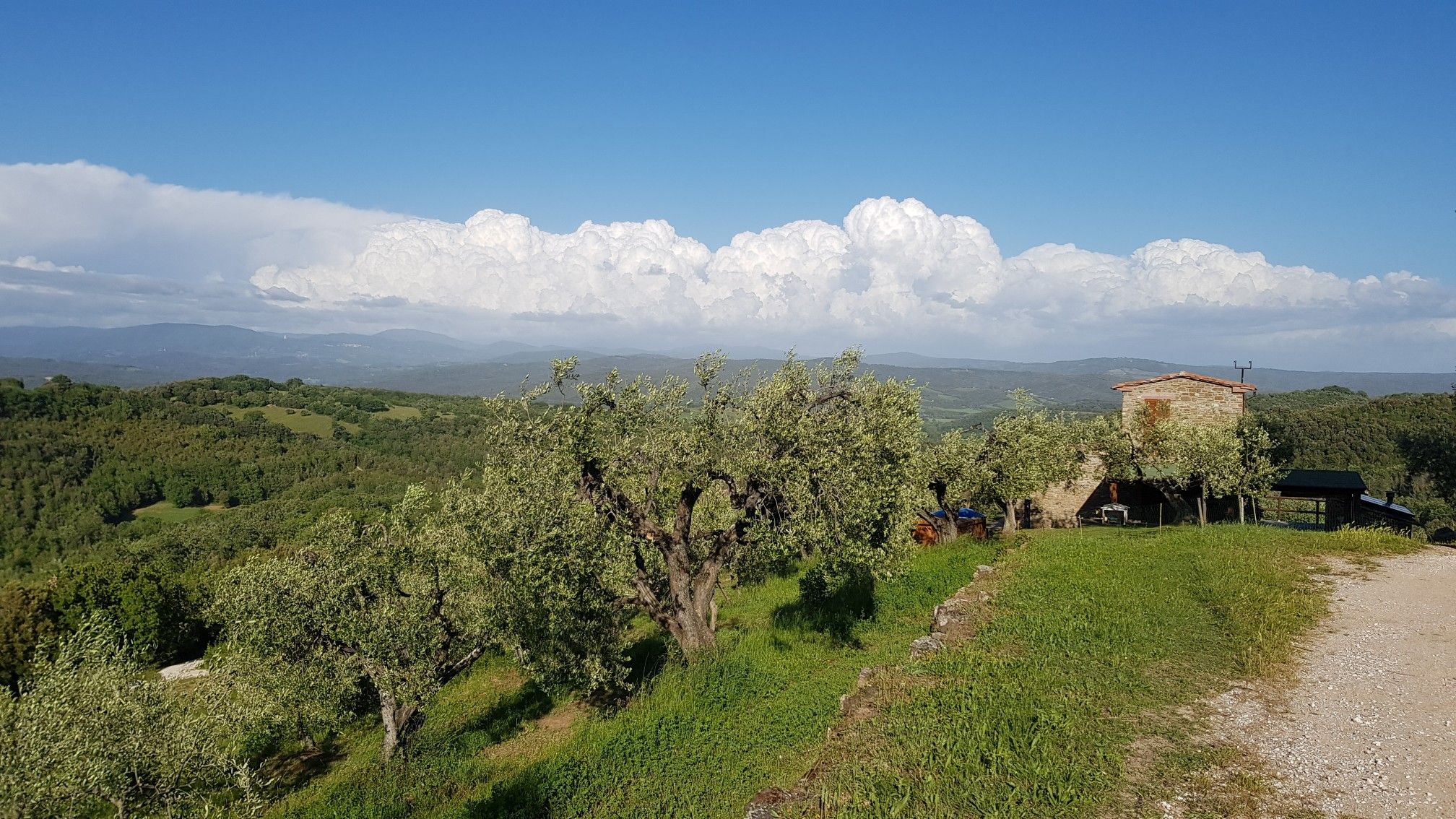 panorama3
