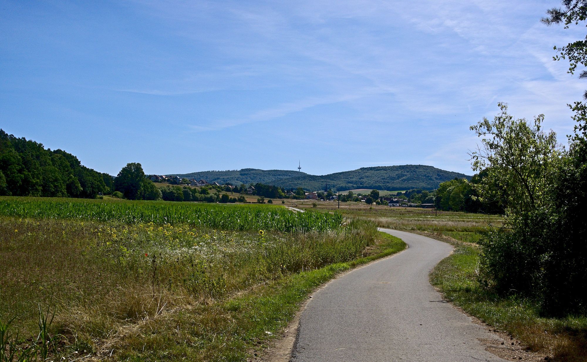 Die Friesener Warte (rechte Erhebung) voraus, links ist der Sender Bamberg auf dem Wachknock zu erkennen