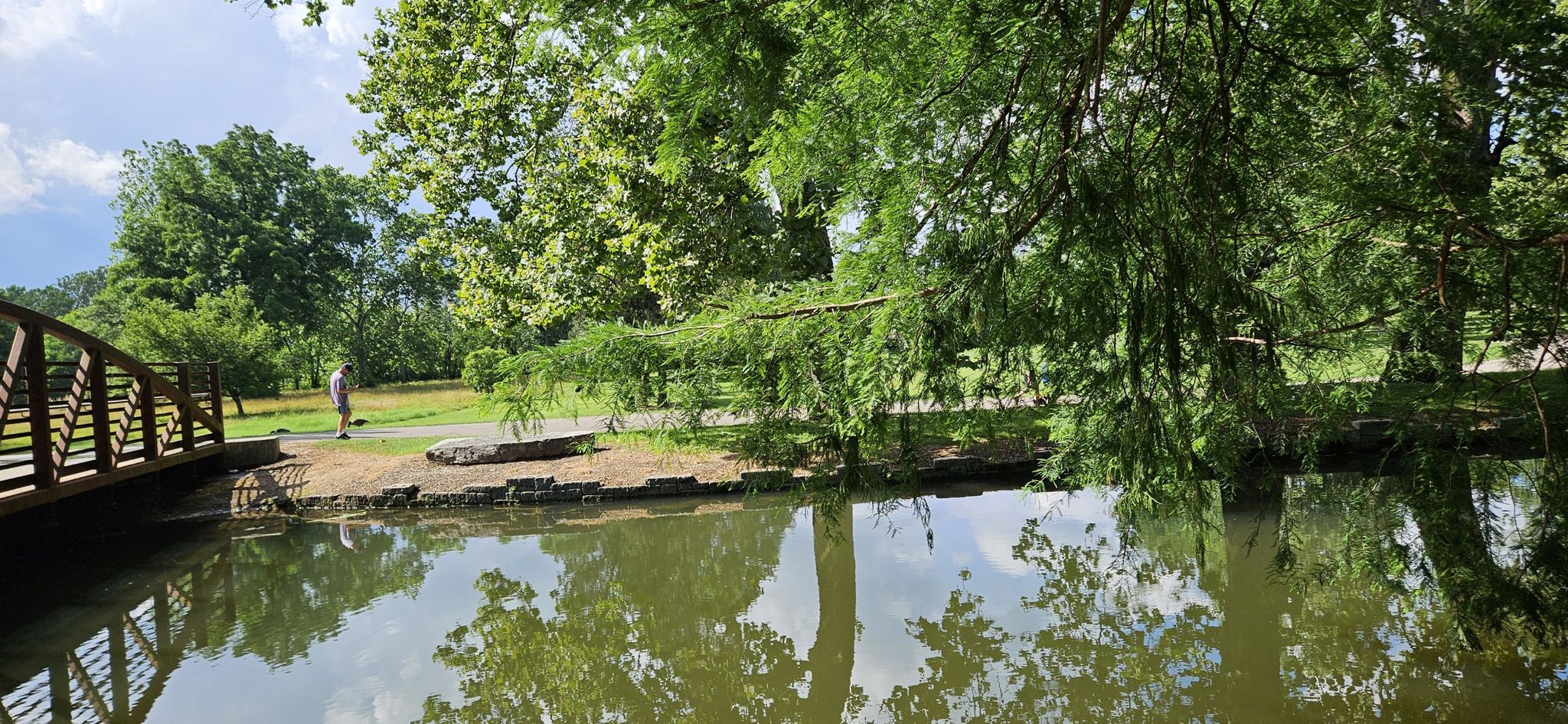 A person walks on a path near a bridge over calm water with lush trees. - Beavercreek Station – Eastwood Metro Park loop from Shoup Park