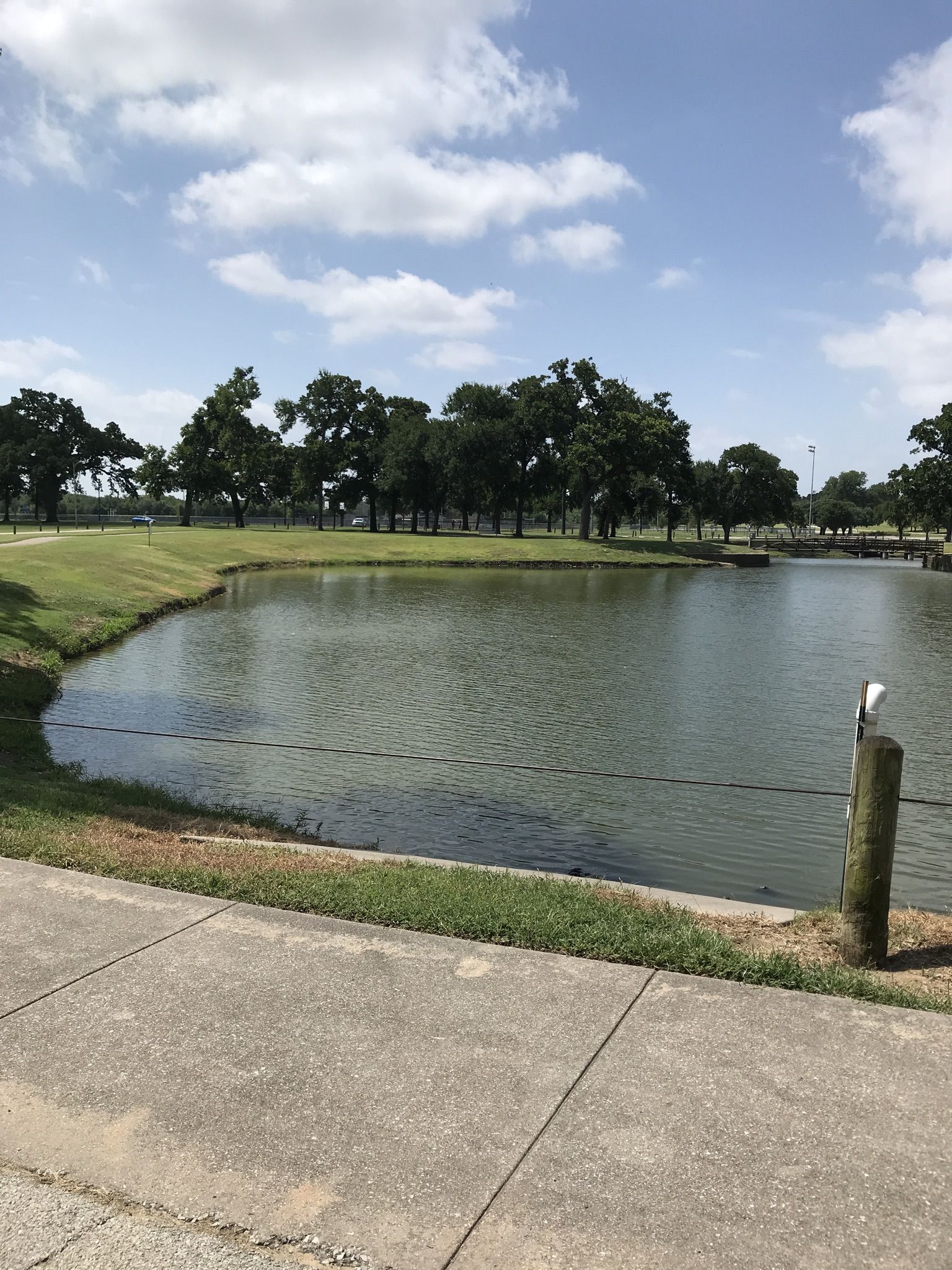 A sunny pond with green banks, trees, and a concrete path. - DFW Discovery Trail: Mike Lewis Park Loop