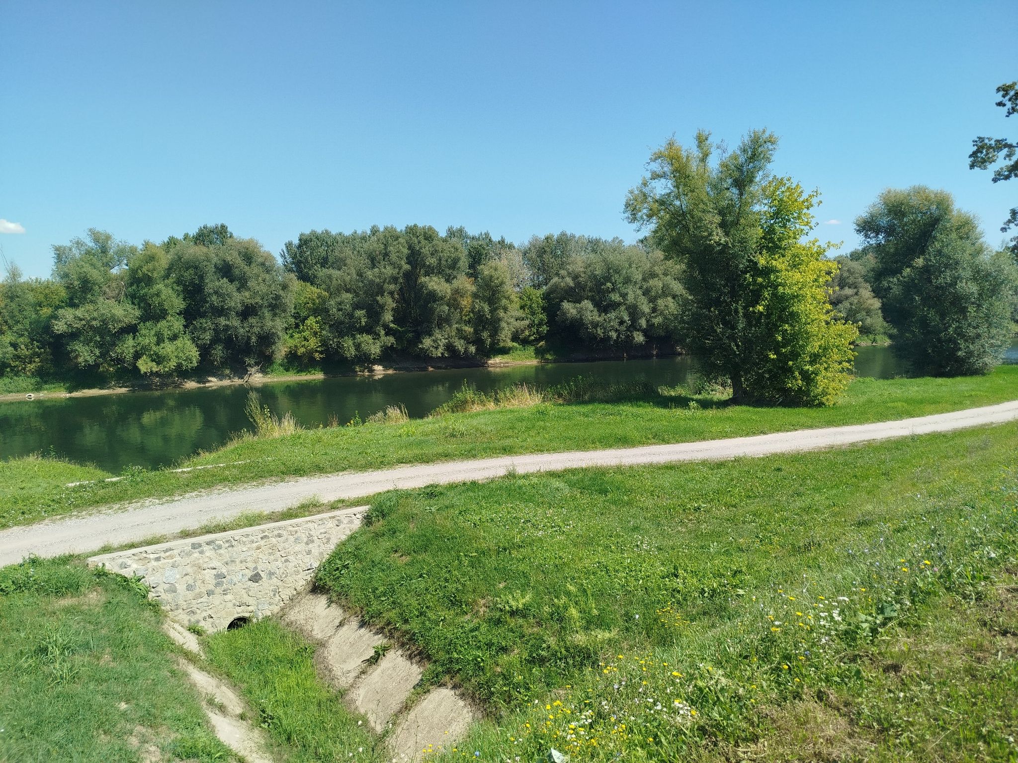 Sava