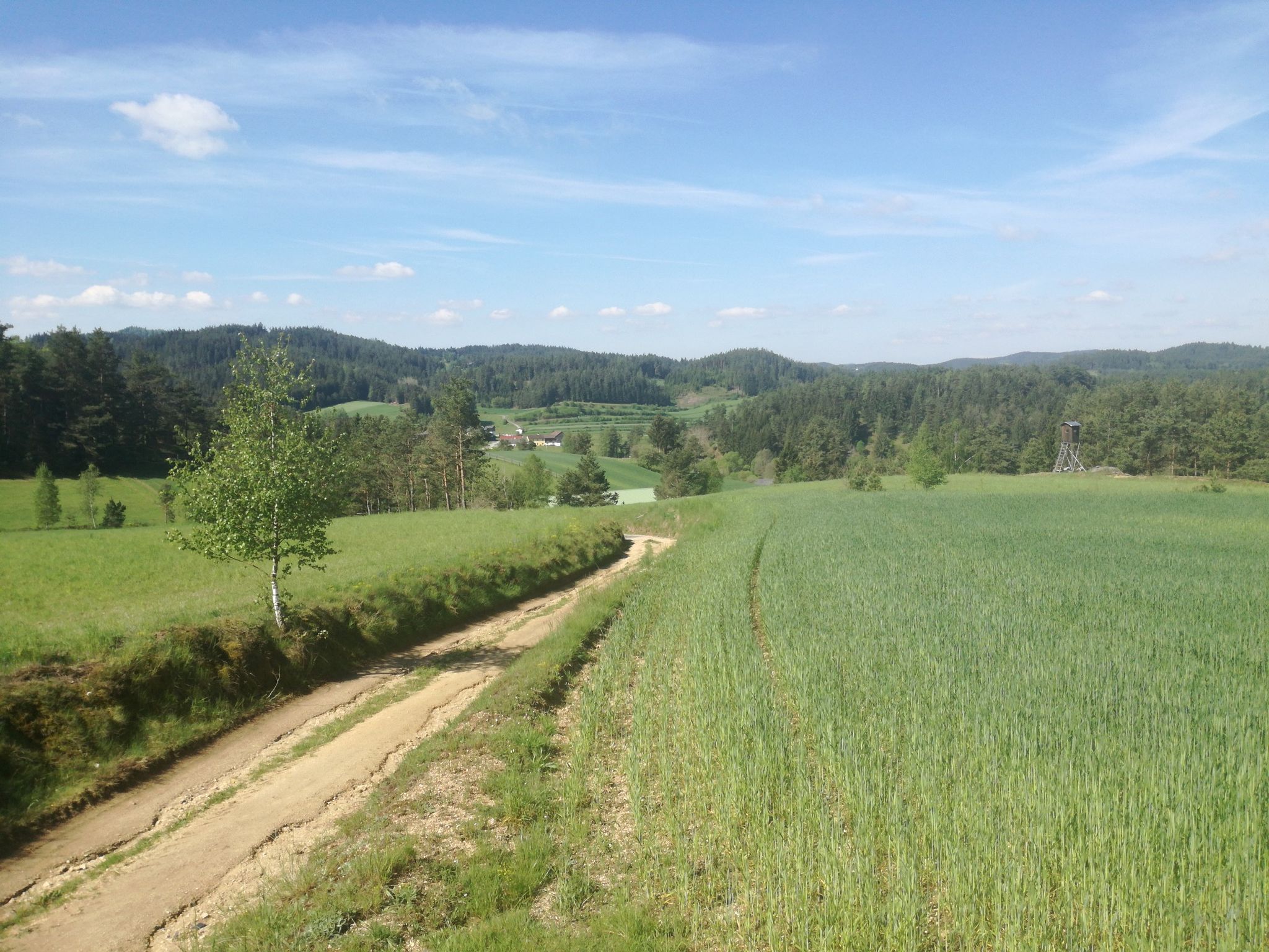 Blick über Roiten
