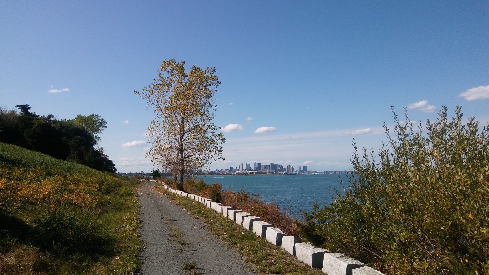 A dirt path alongside water with a single tree and distant city skyline. - Spectacle Island Outer Loop