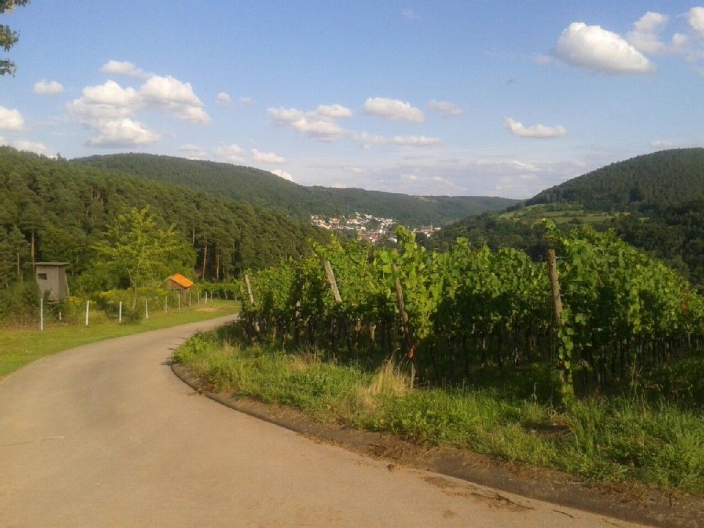 Blick auf Eichenbühl