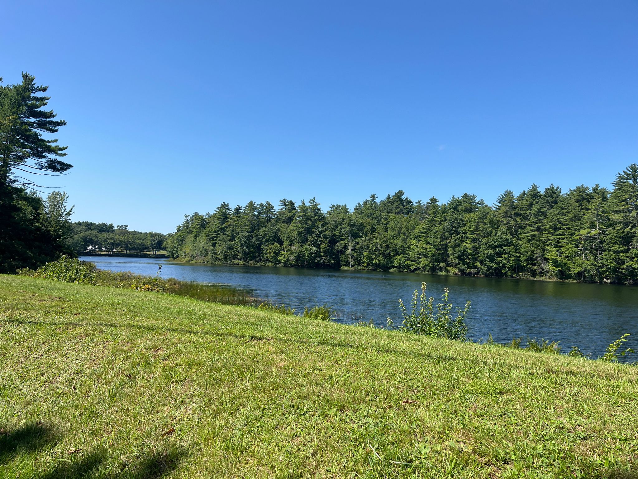 Sunny view of a calm lake from a wide grassy bank. - Long Beach Avenue loop