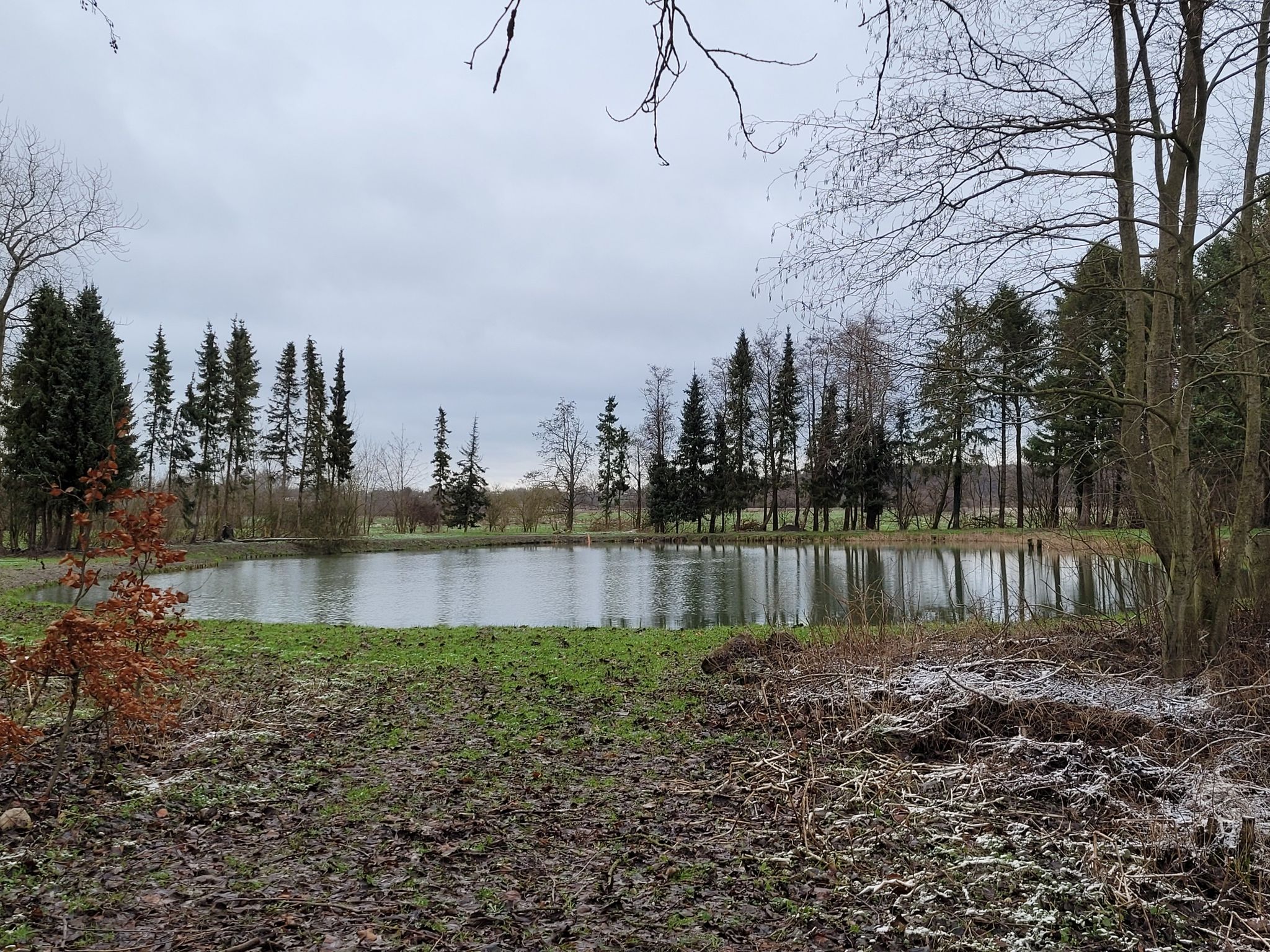 Der Angelteich
