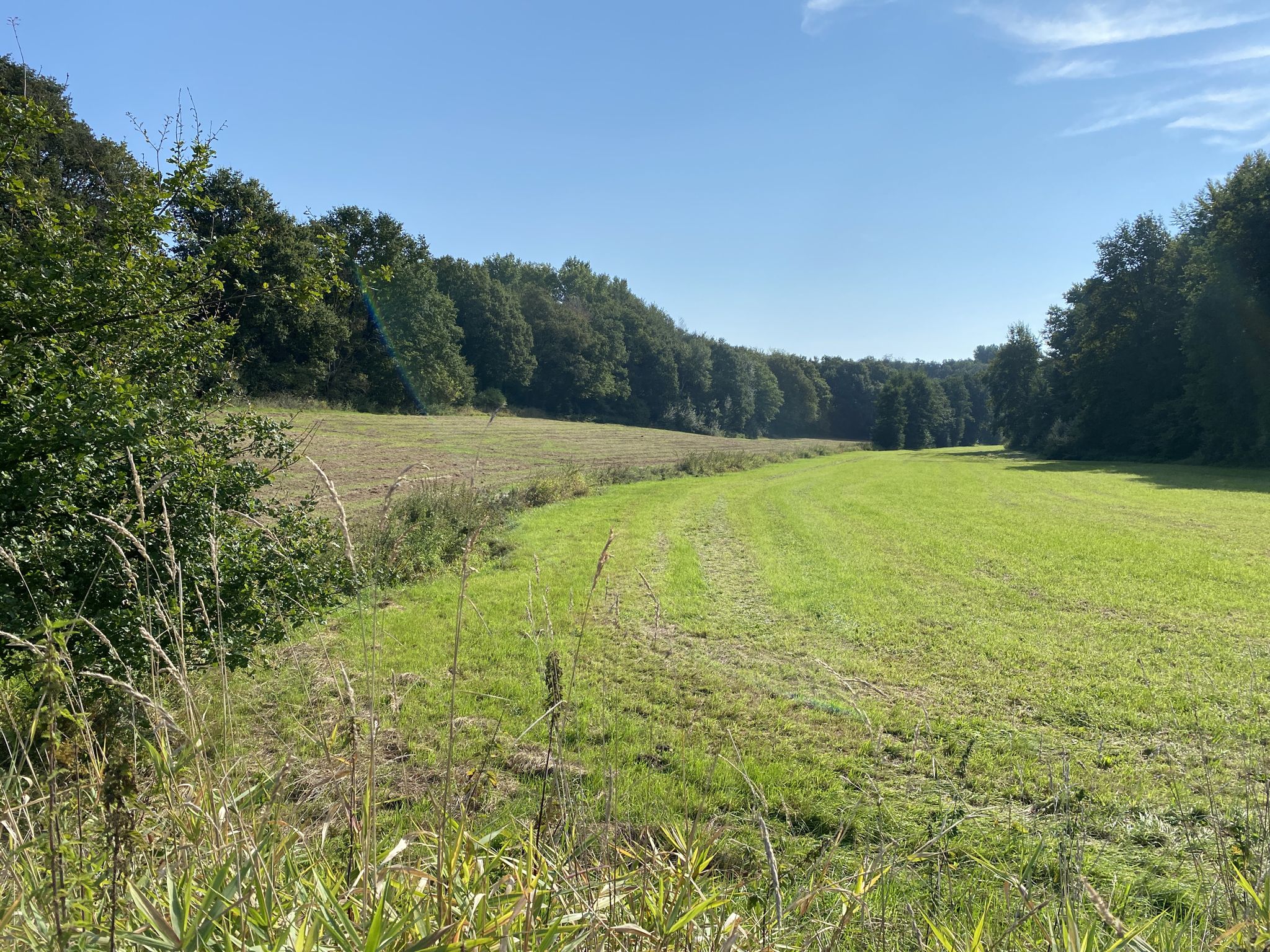 Eines der wunderschönen Sieks im Ravensberger Hügelland