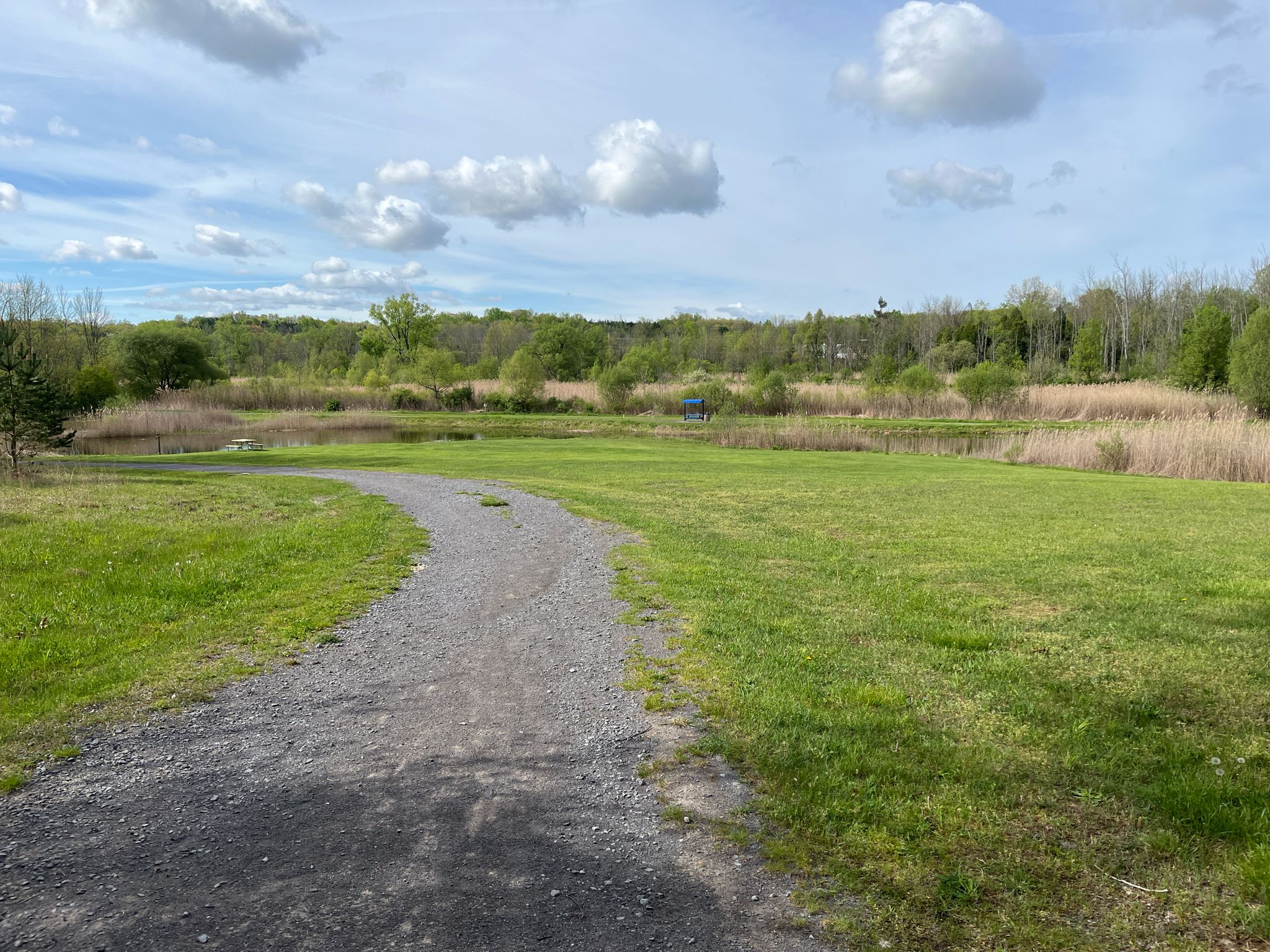 Gravel path curves through green fields towards a pond under a partly cloudy sky. - Lehigh Crossing Trolley Trail Loop