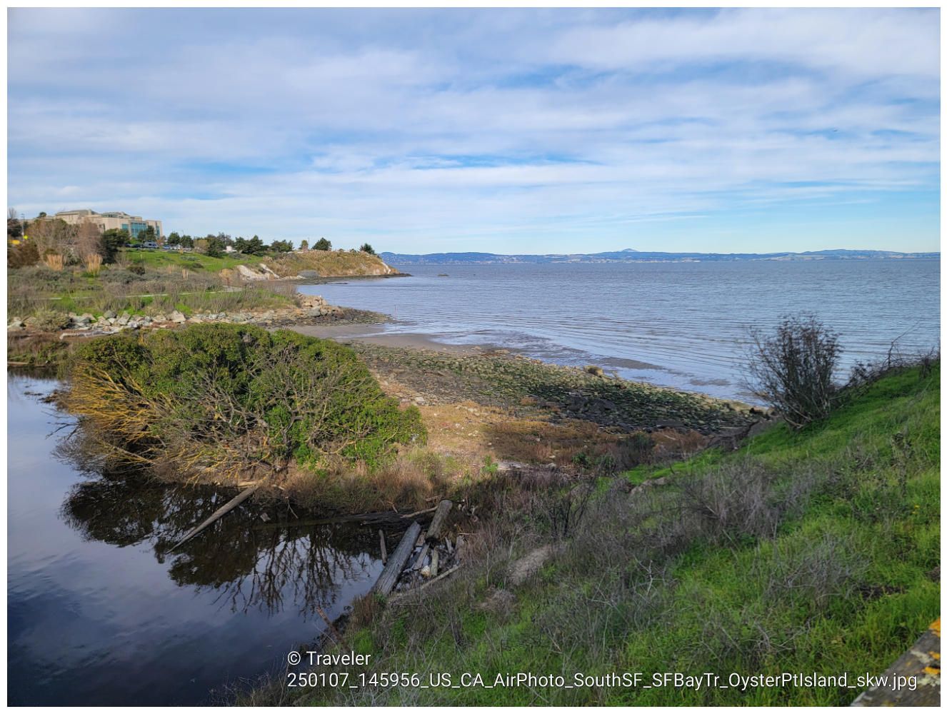Bay shoreline with marshland, green bushes, and distant land under a bright sky. - Oyster Point Fishing Pier – Point San Bruno Park loop from South San Francisco